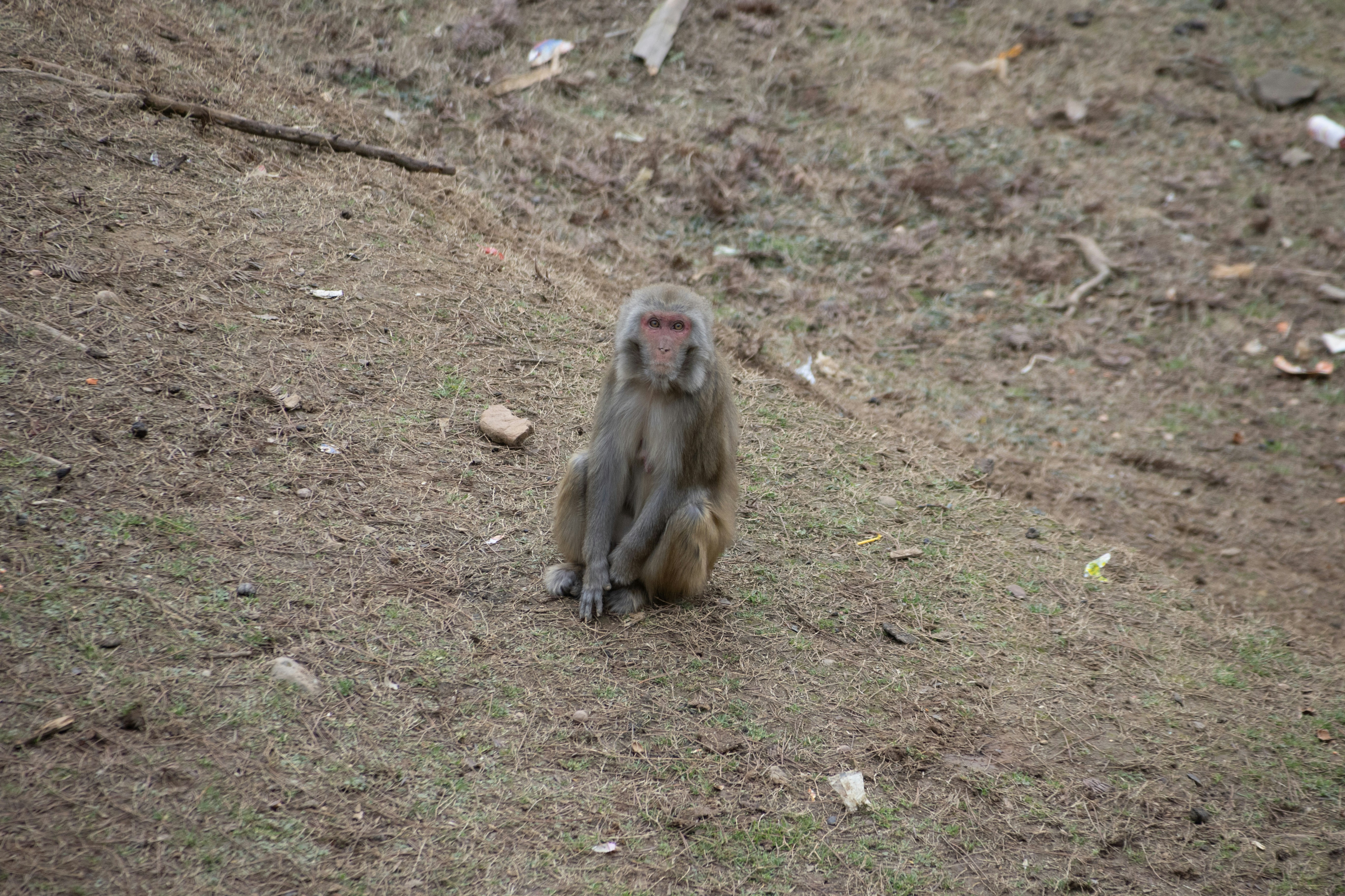 Photo by wu_hua_jiang