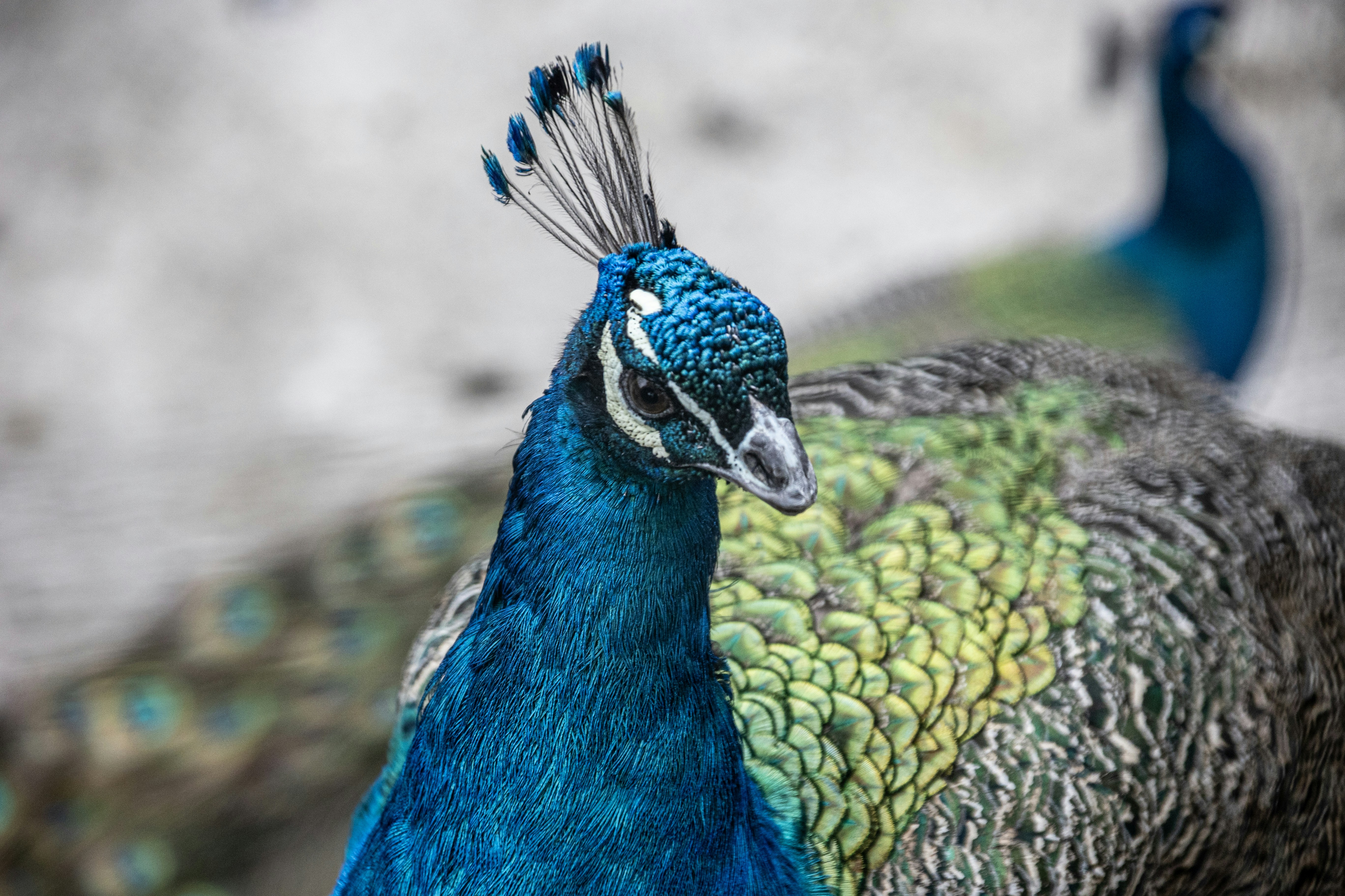 Photo by wu_hua_jiang