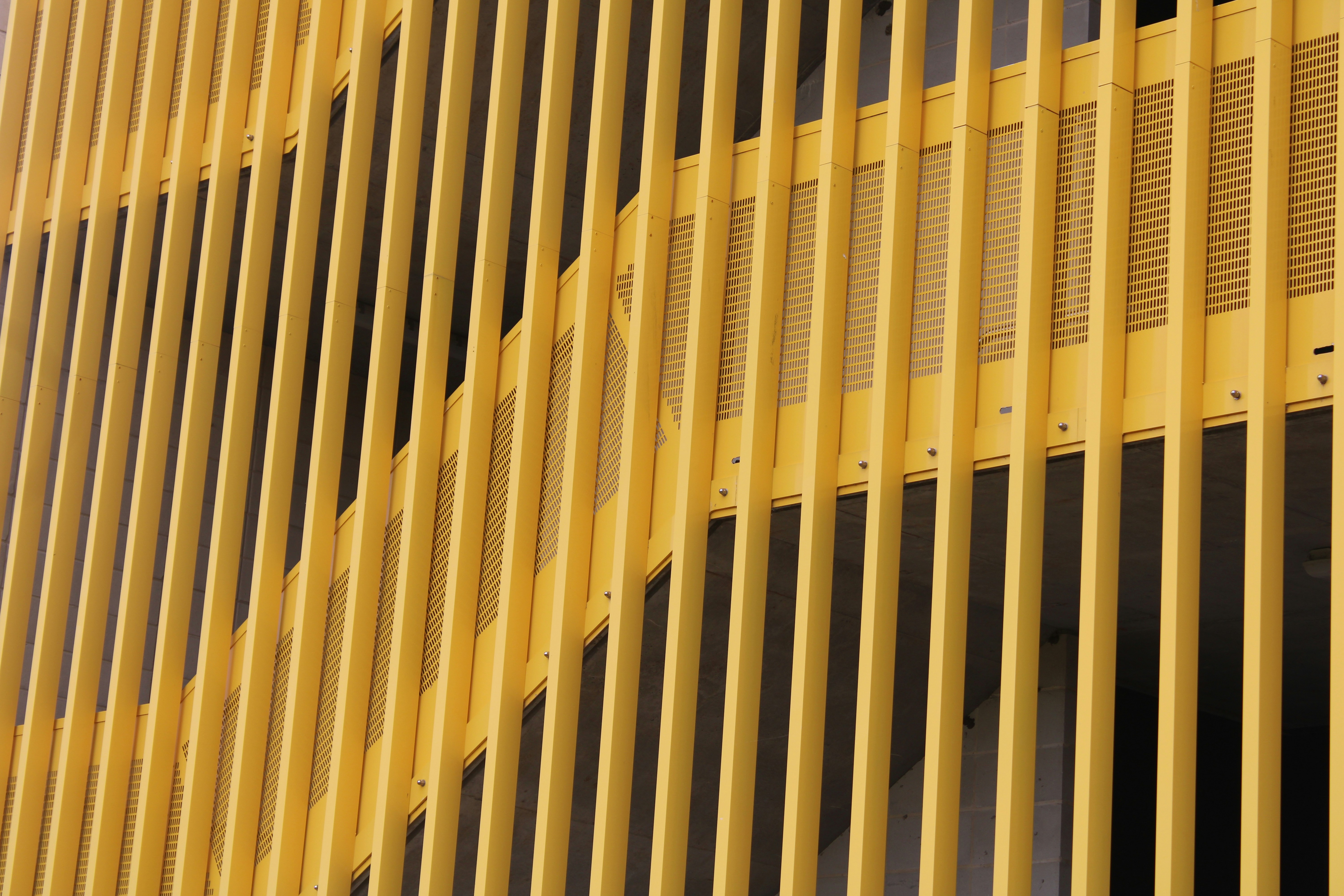 Photo by ilovezooble28