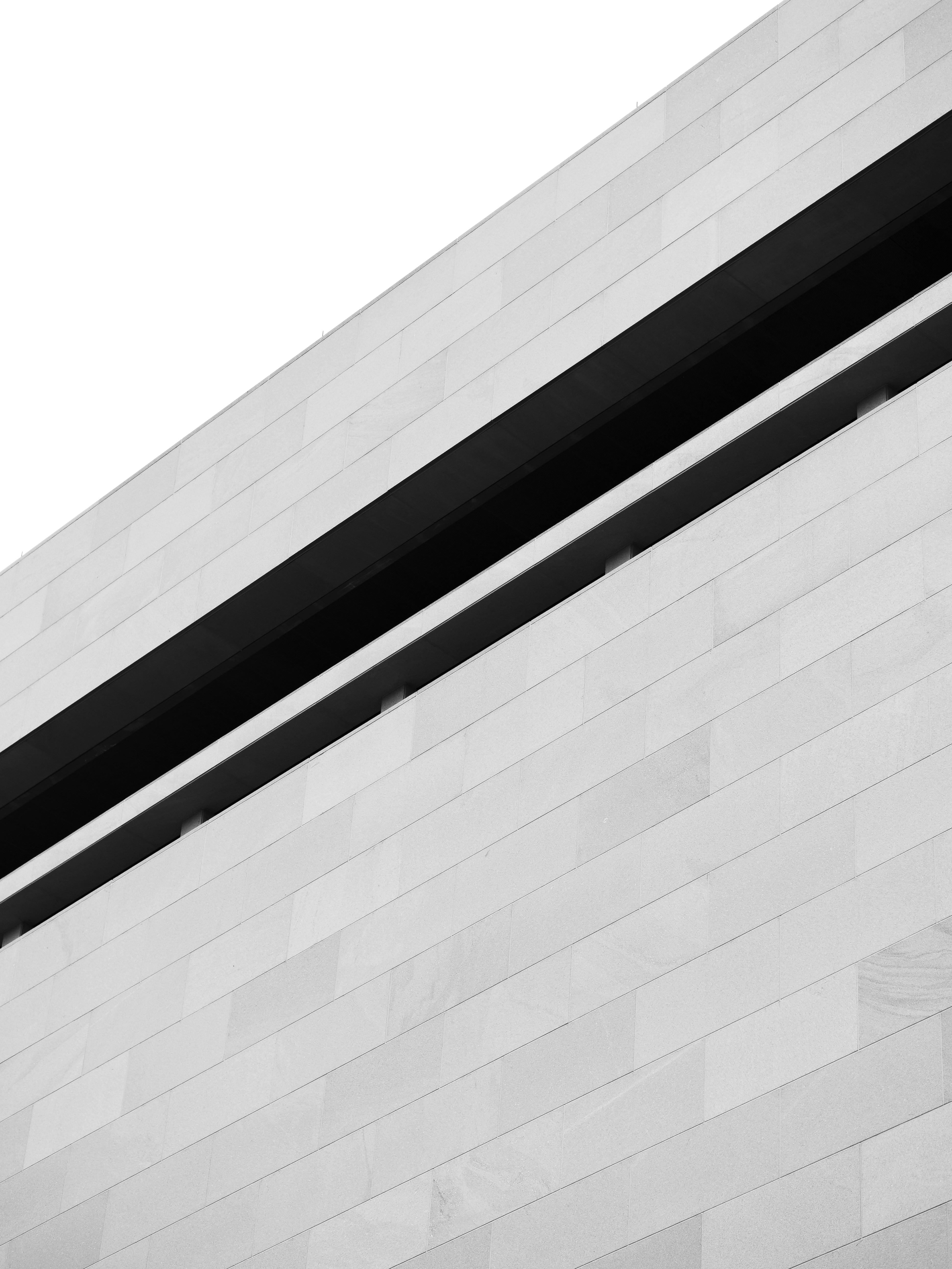 Photo by sschusterphotoart