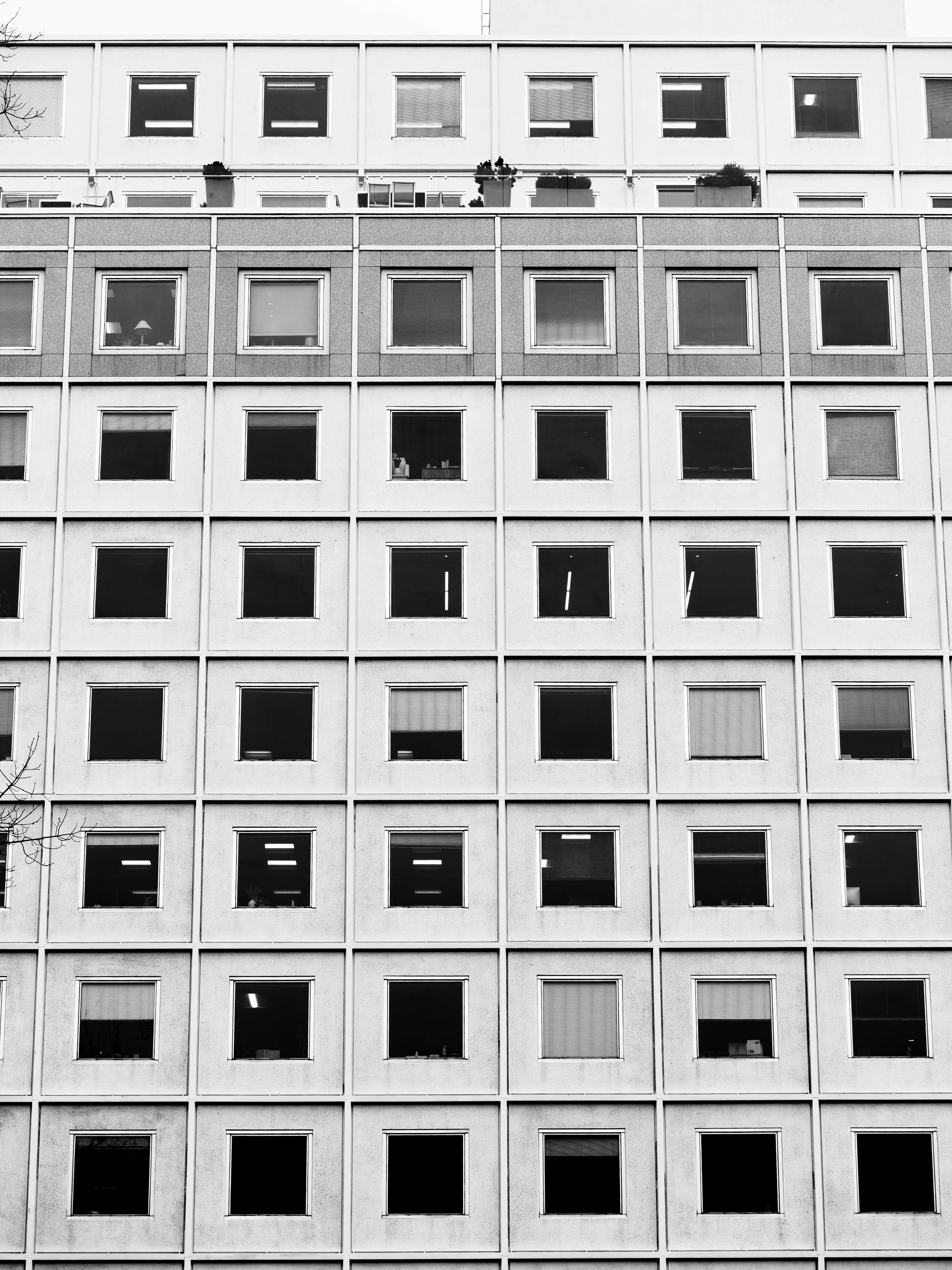 Photo by sschusterphotoart