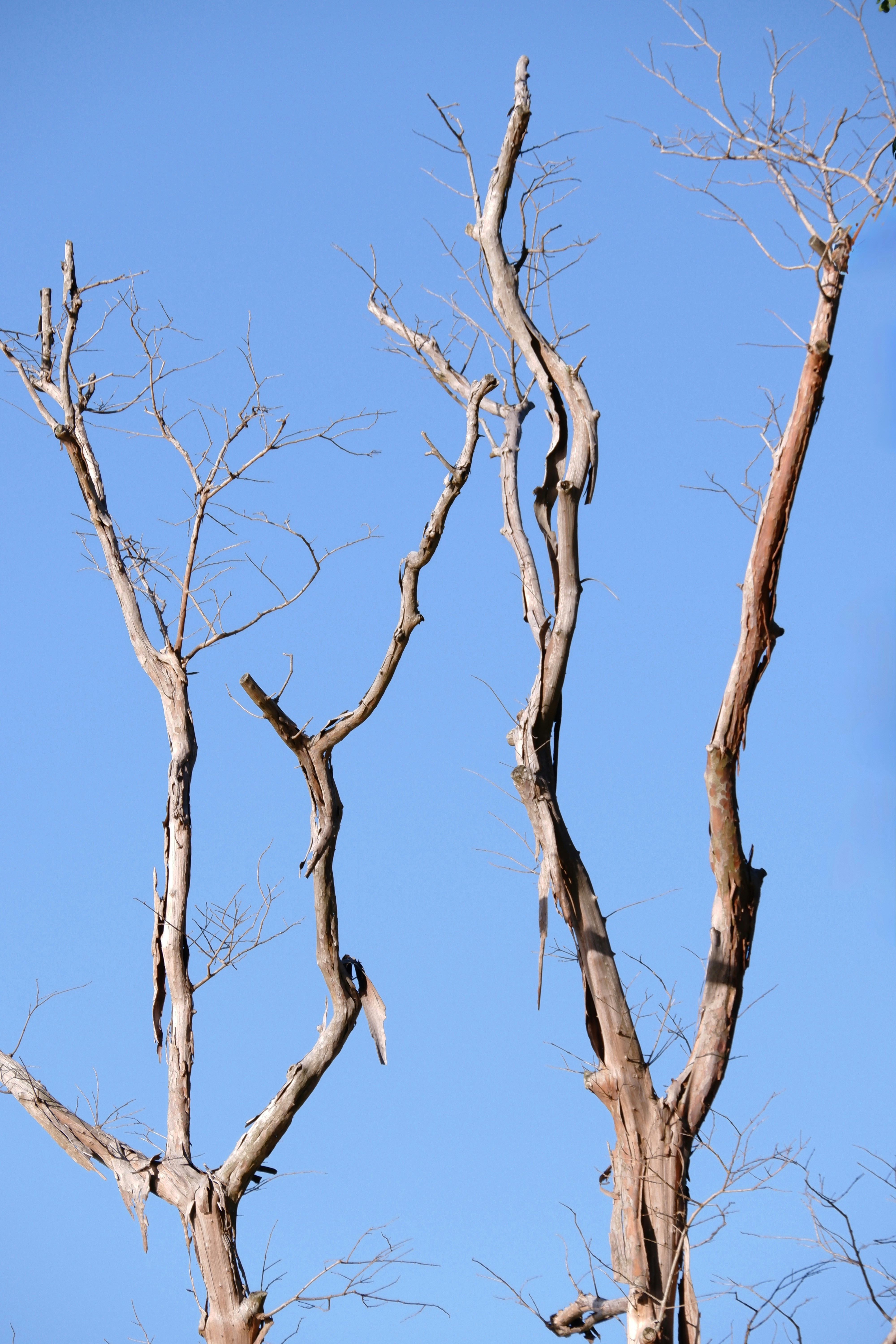 Photo by liliantruong2603