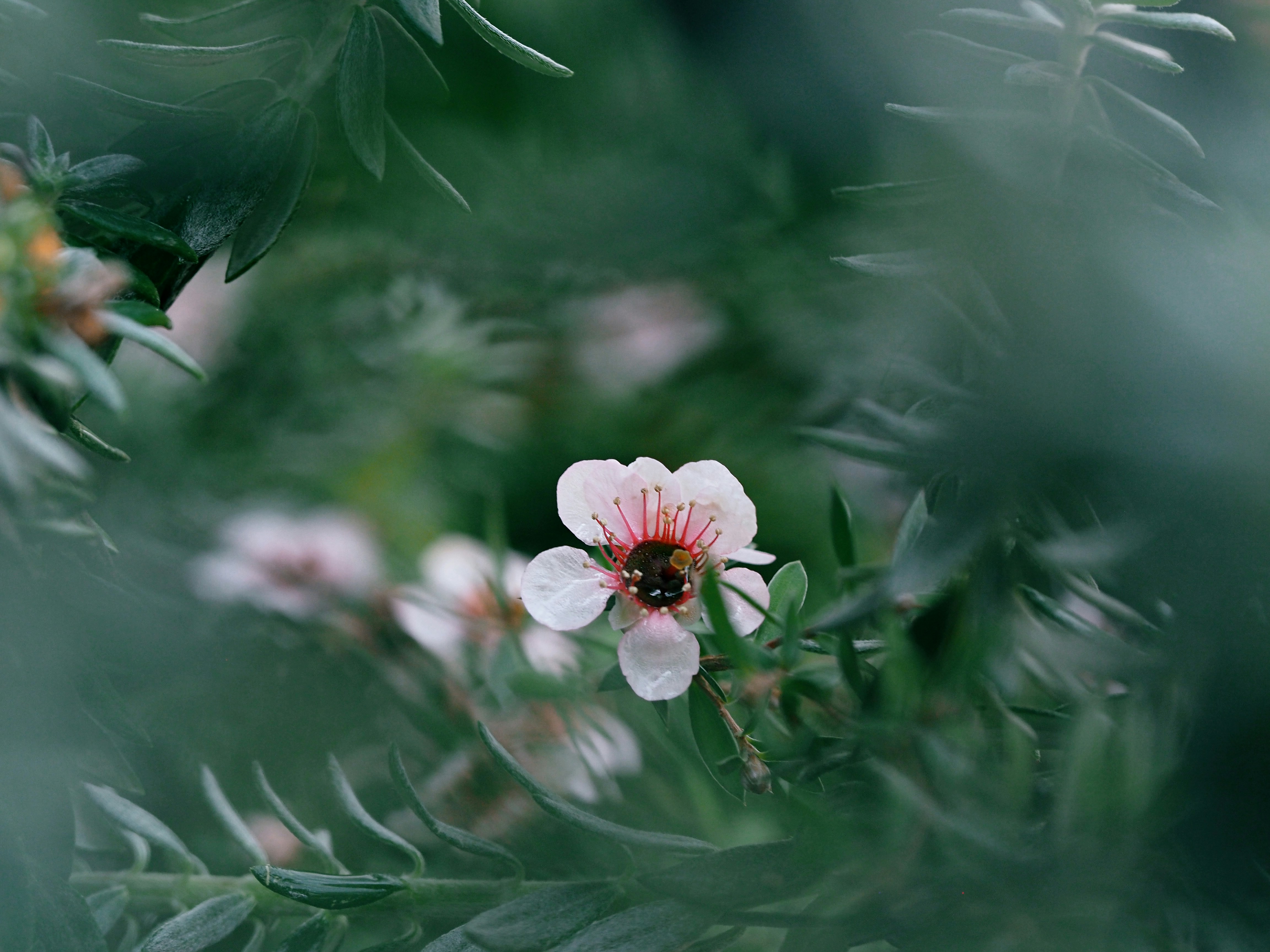 Photo by liliantruong2603