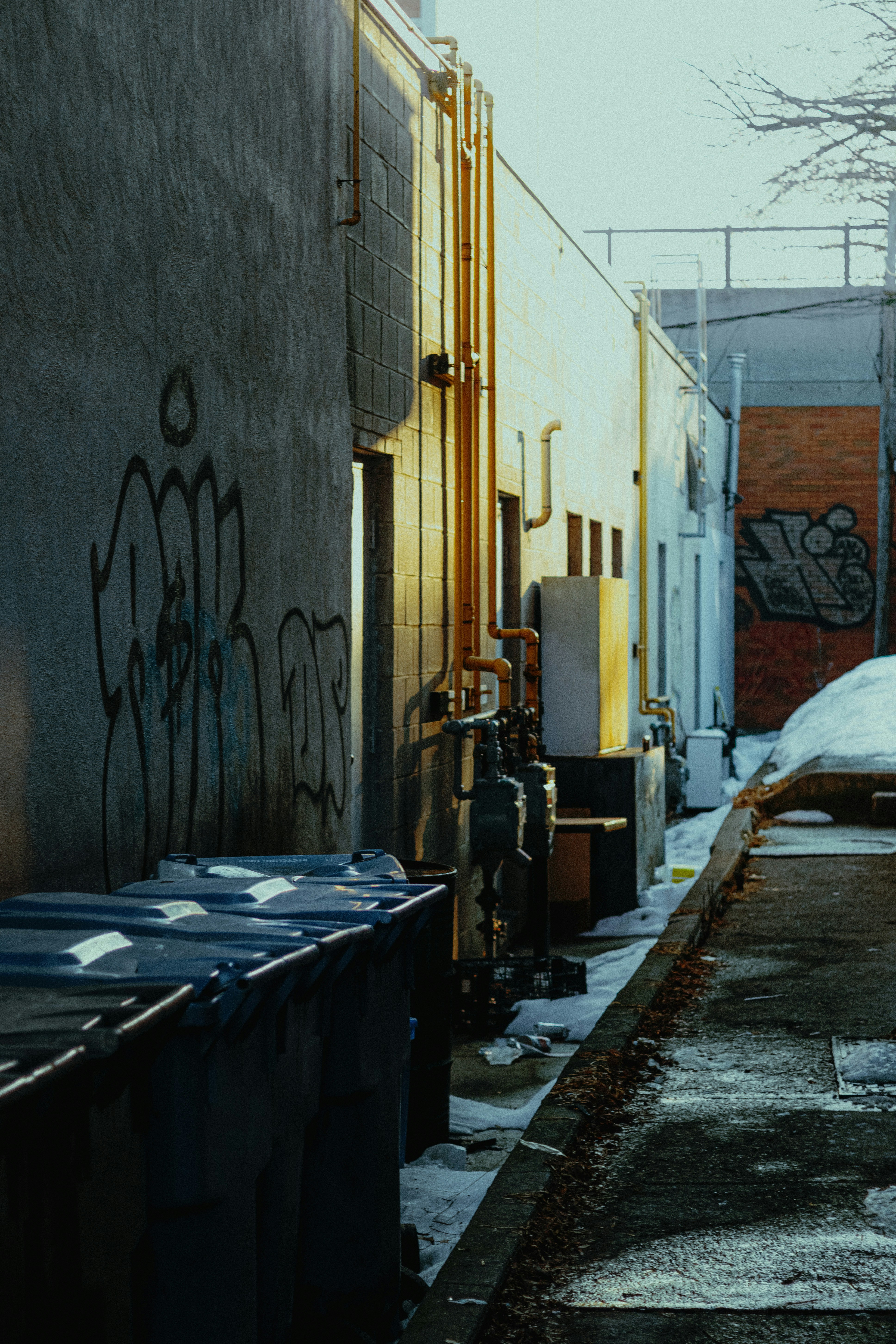 Photo by linusbelanger