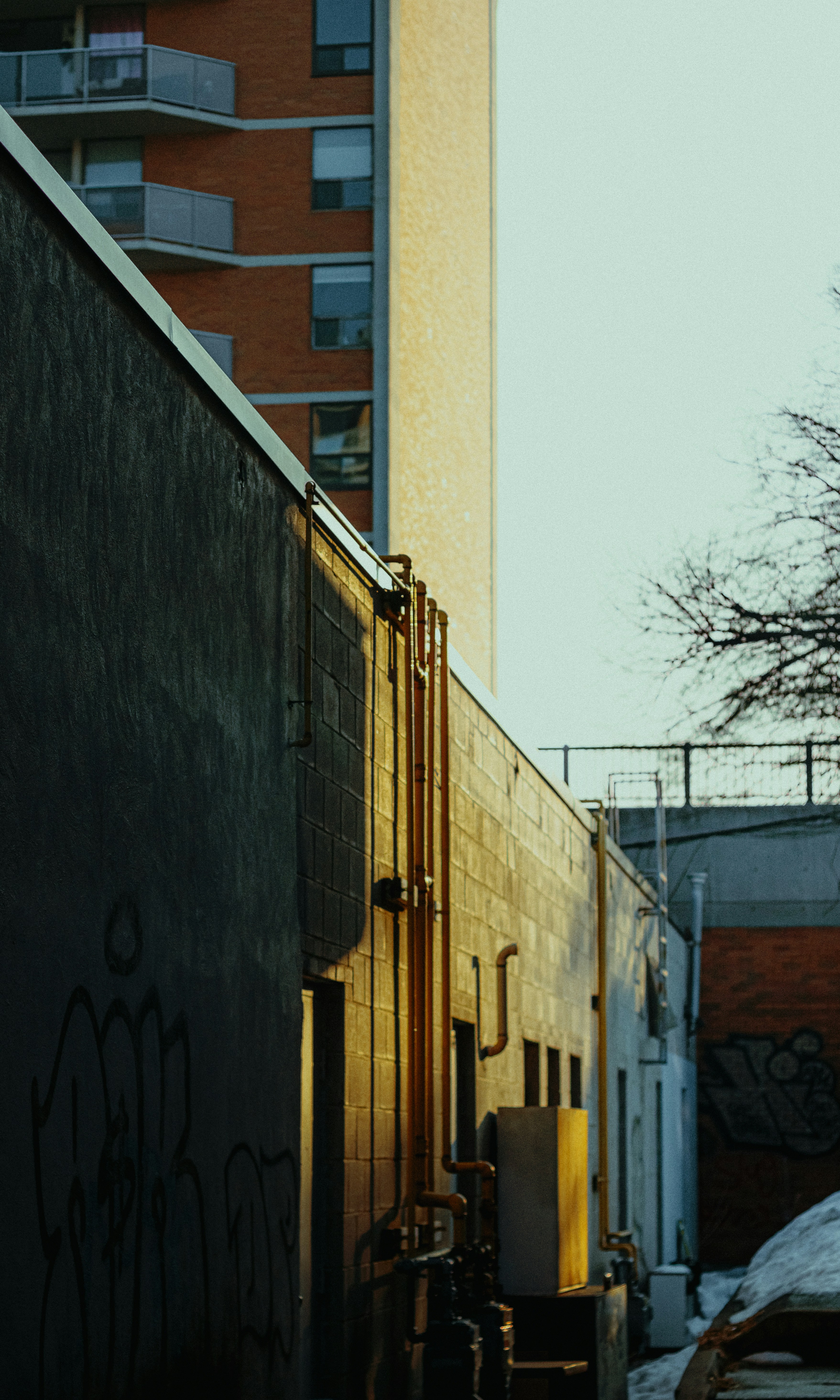 Photo by linusbelanger