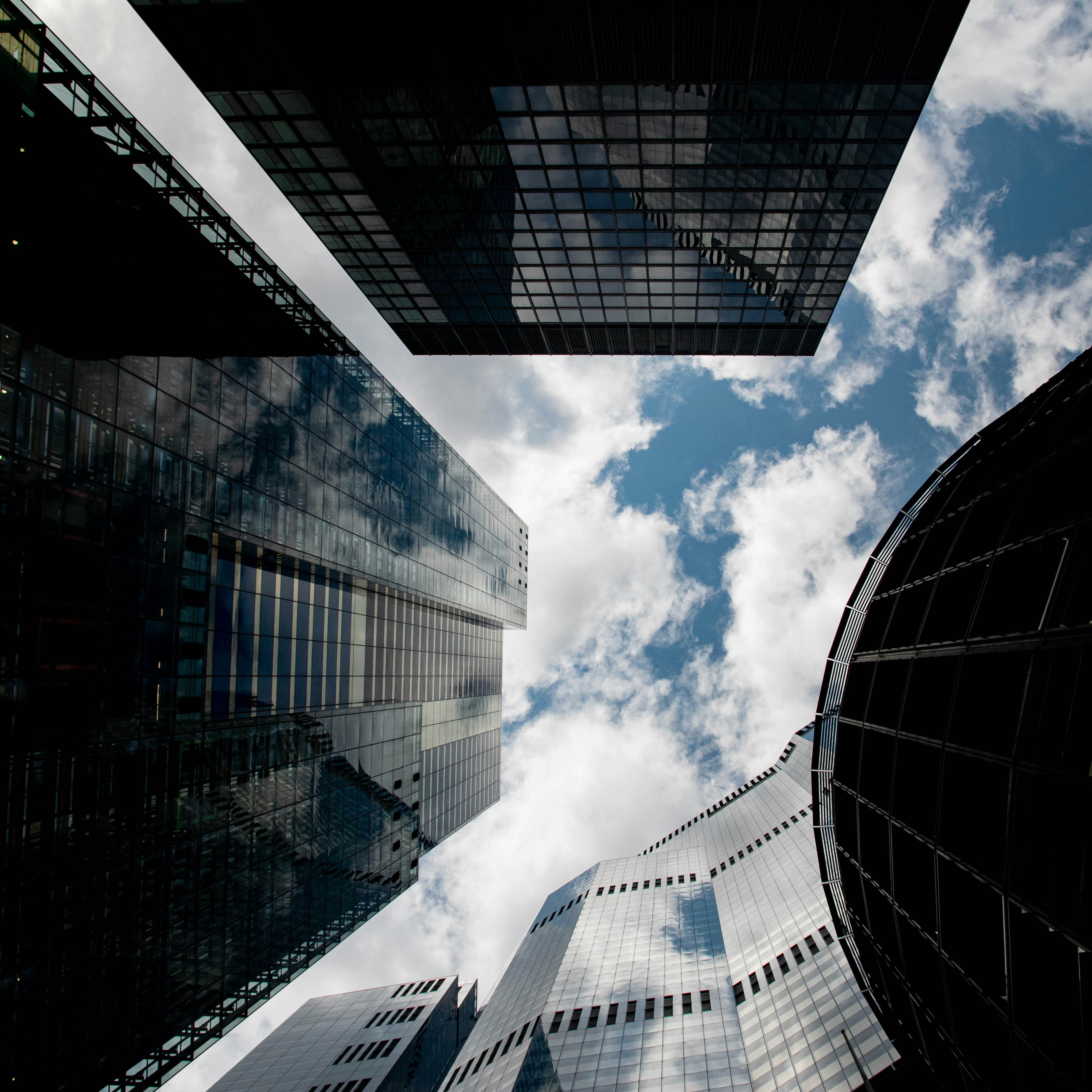 Photo by david_garrick_bangbola