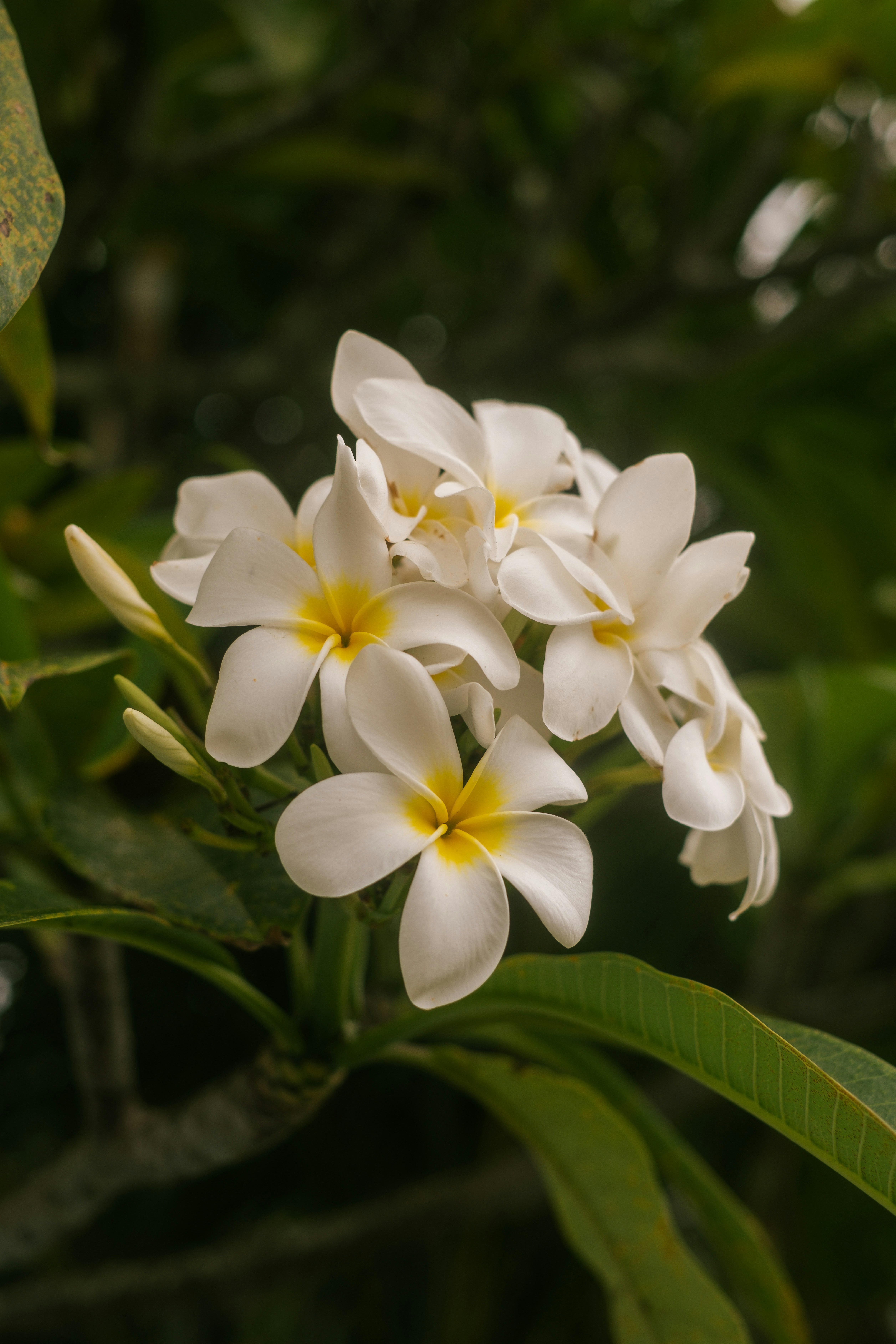 Photo by raegocreative