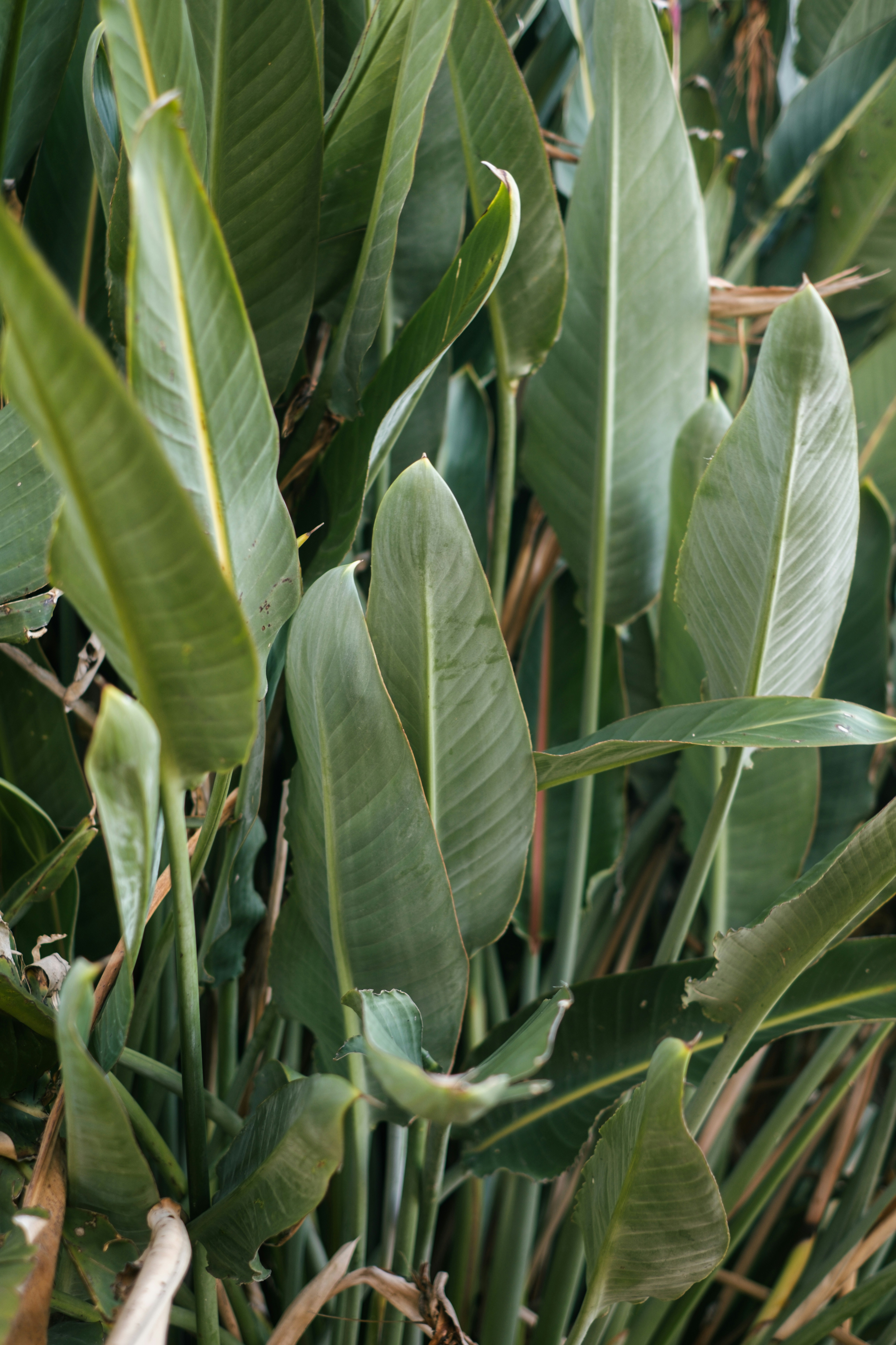 Photo by raegocreative