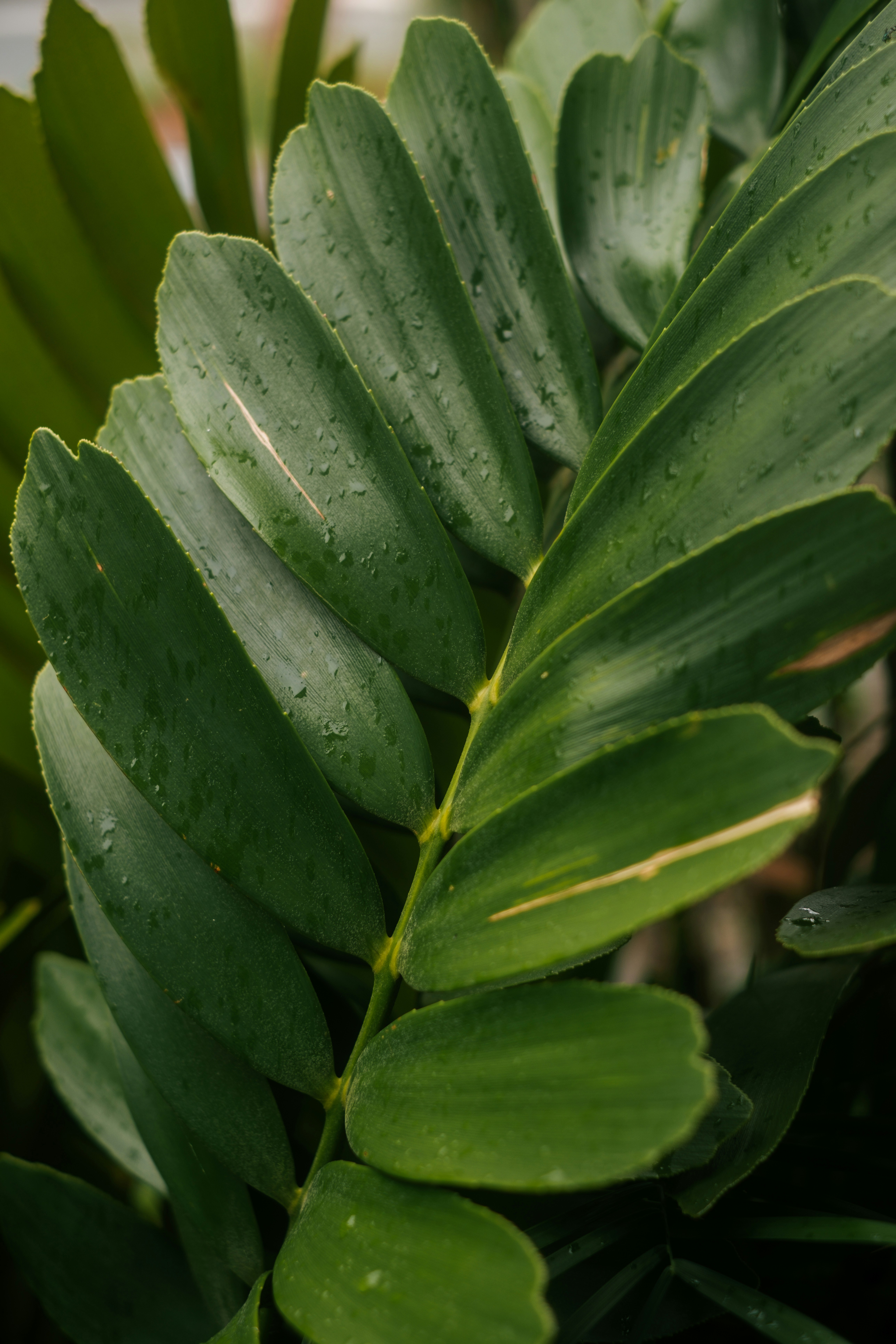 Photo by raegocreative