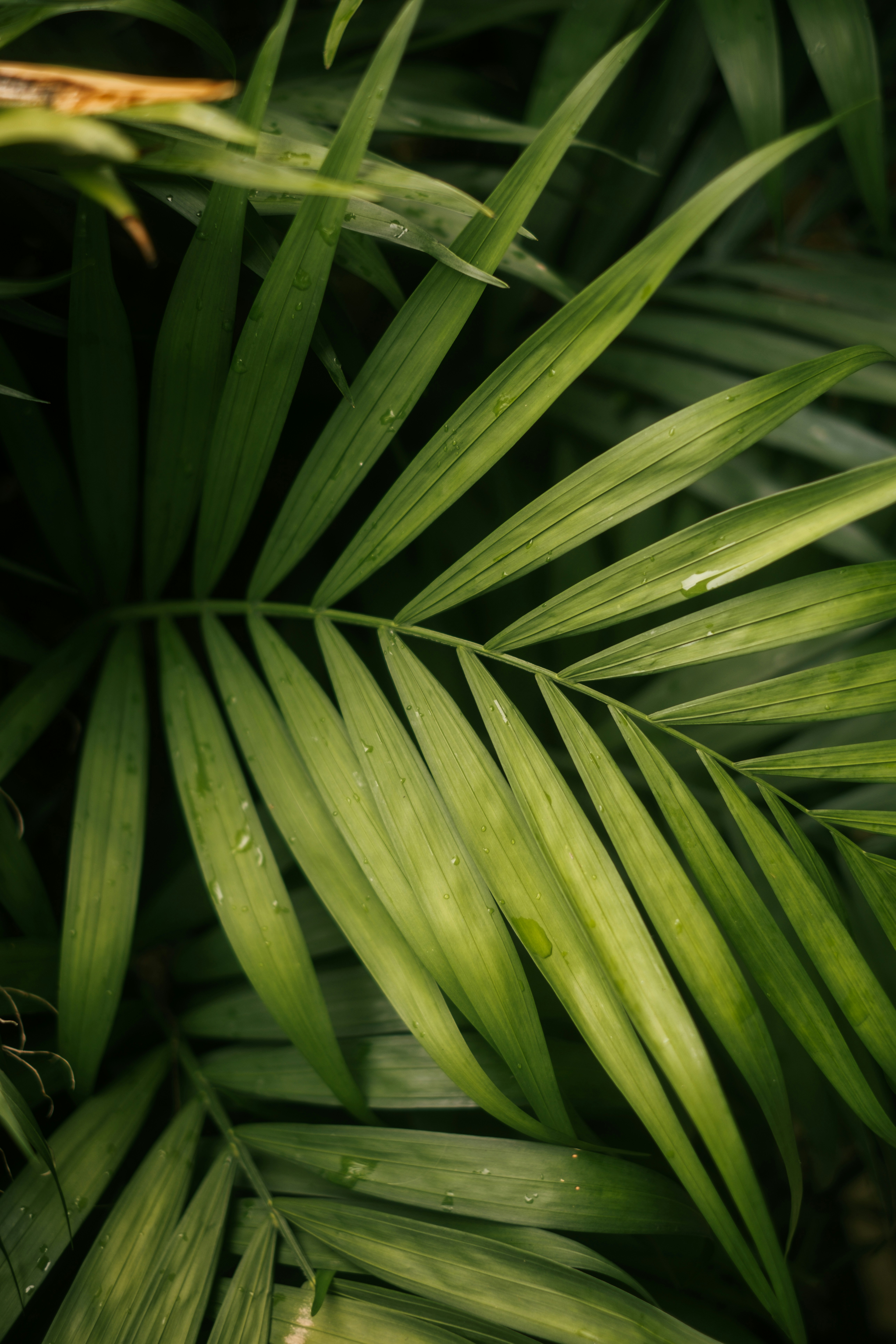 Photo by raegocreative