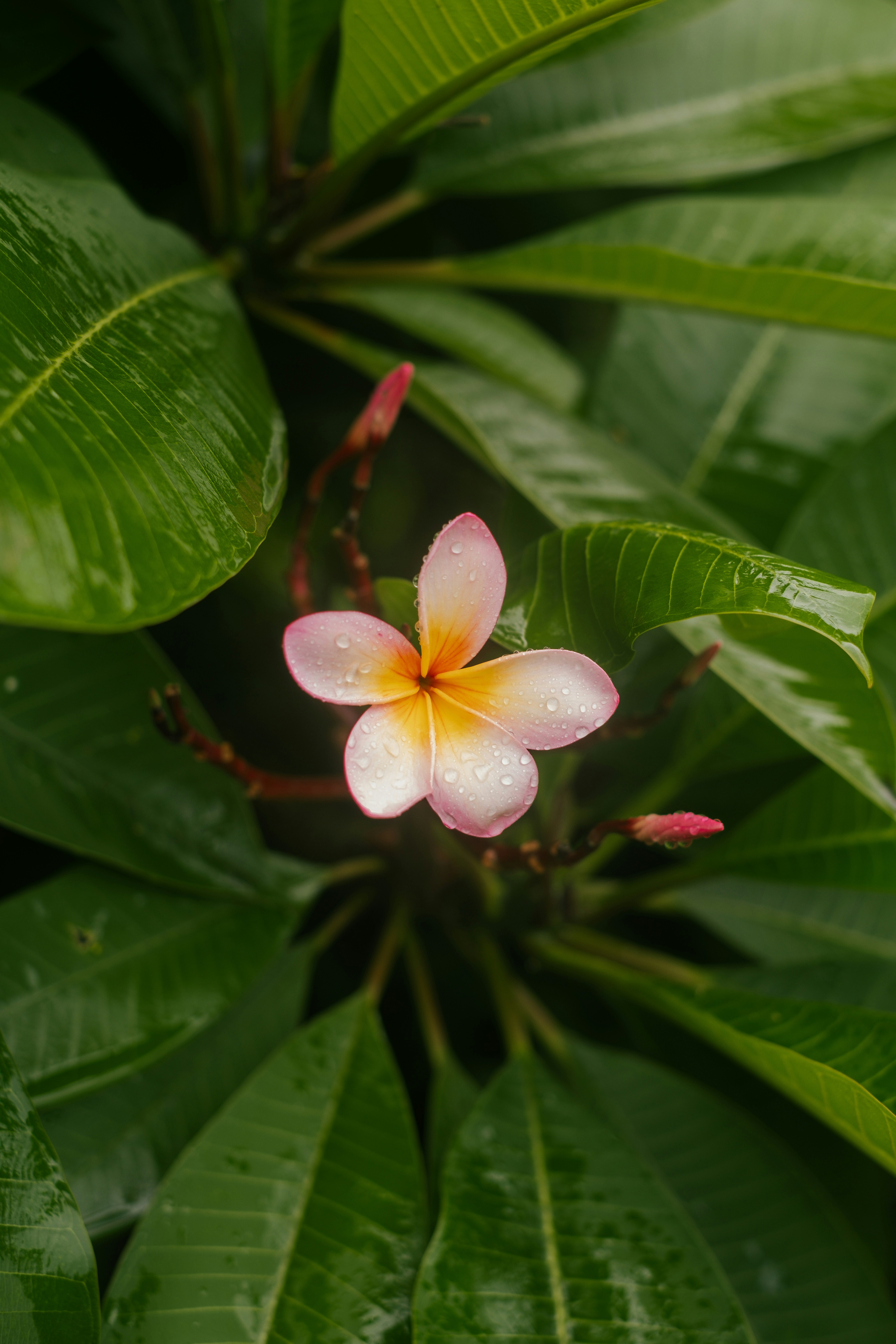 Photo by raegocreative