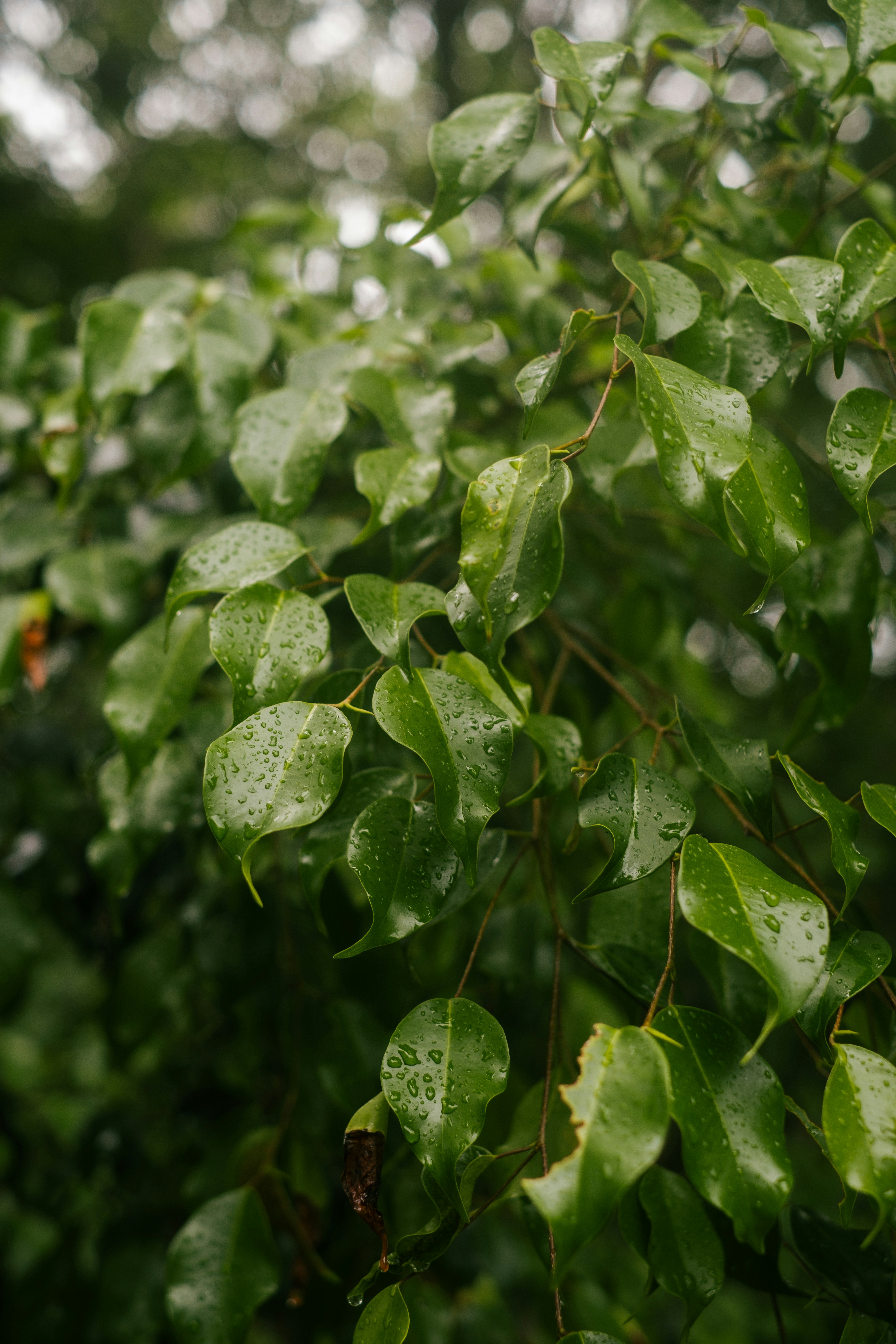 Photo by raegocreative