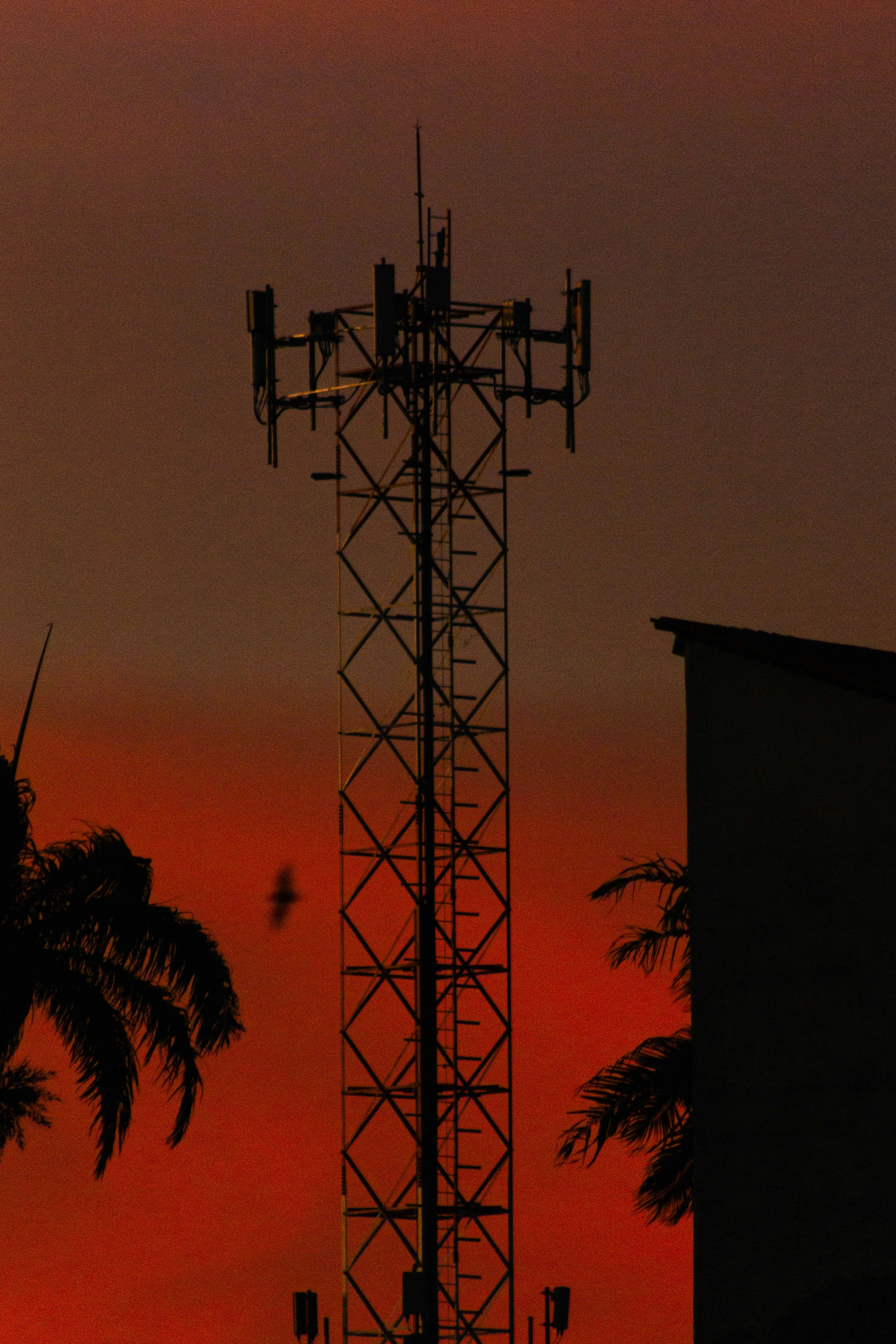 Silueto de una torre de telefonía contra un cielo naranja al atardecer.