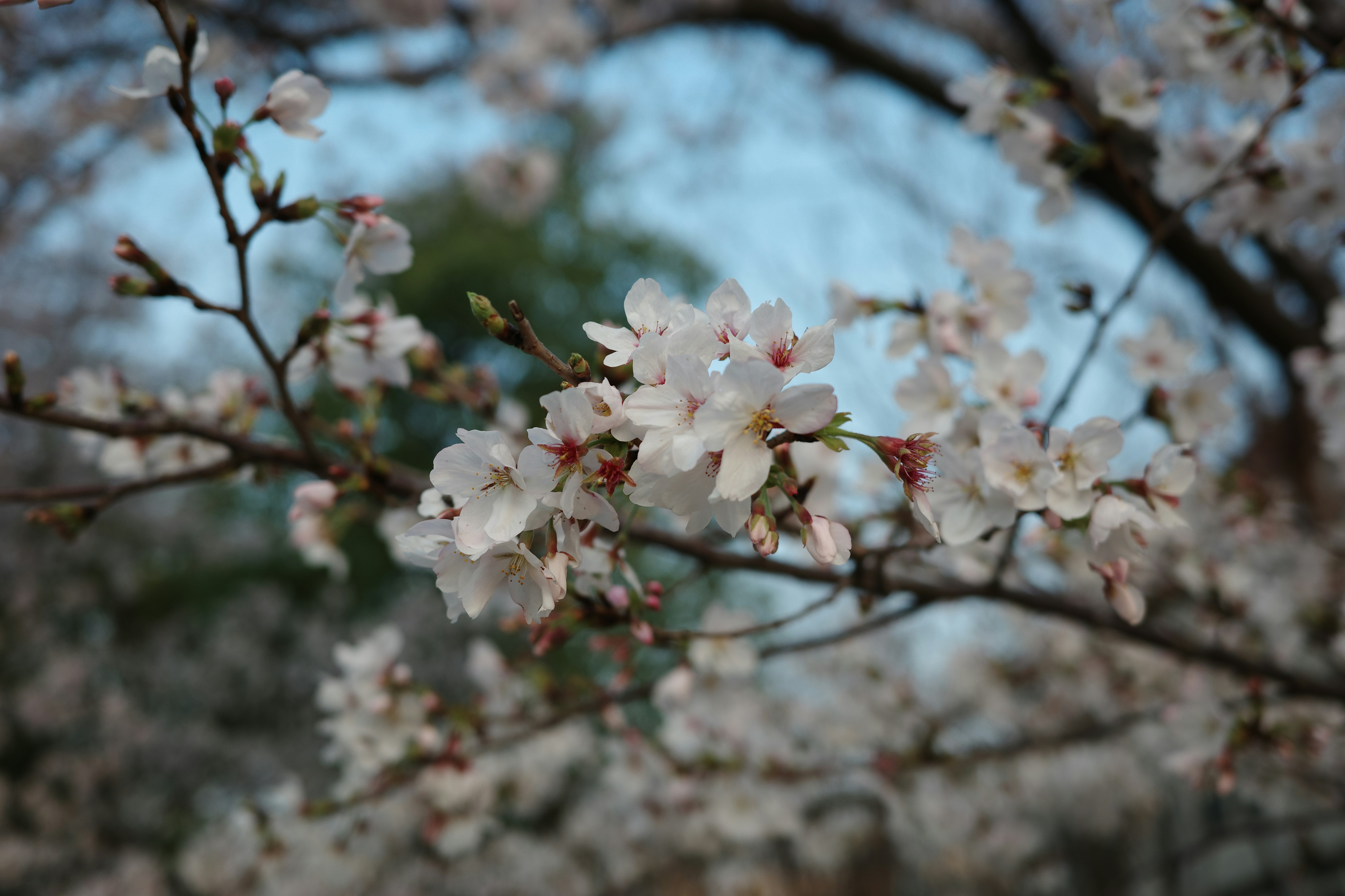 Photo by bangbangcheung