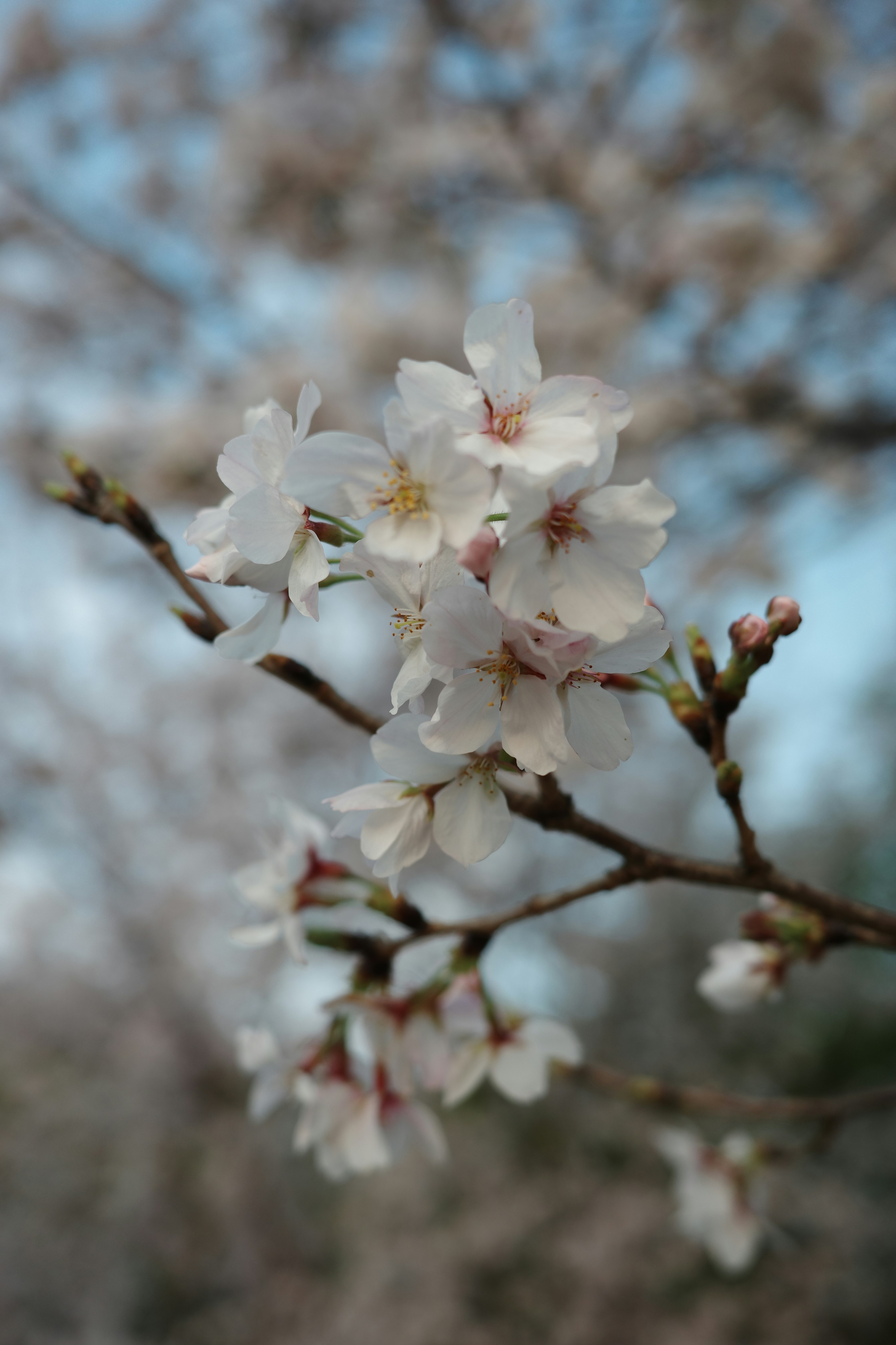 Photo by bangbangcheung