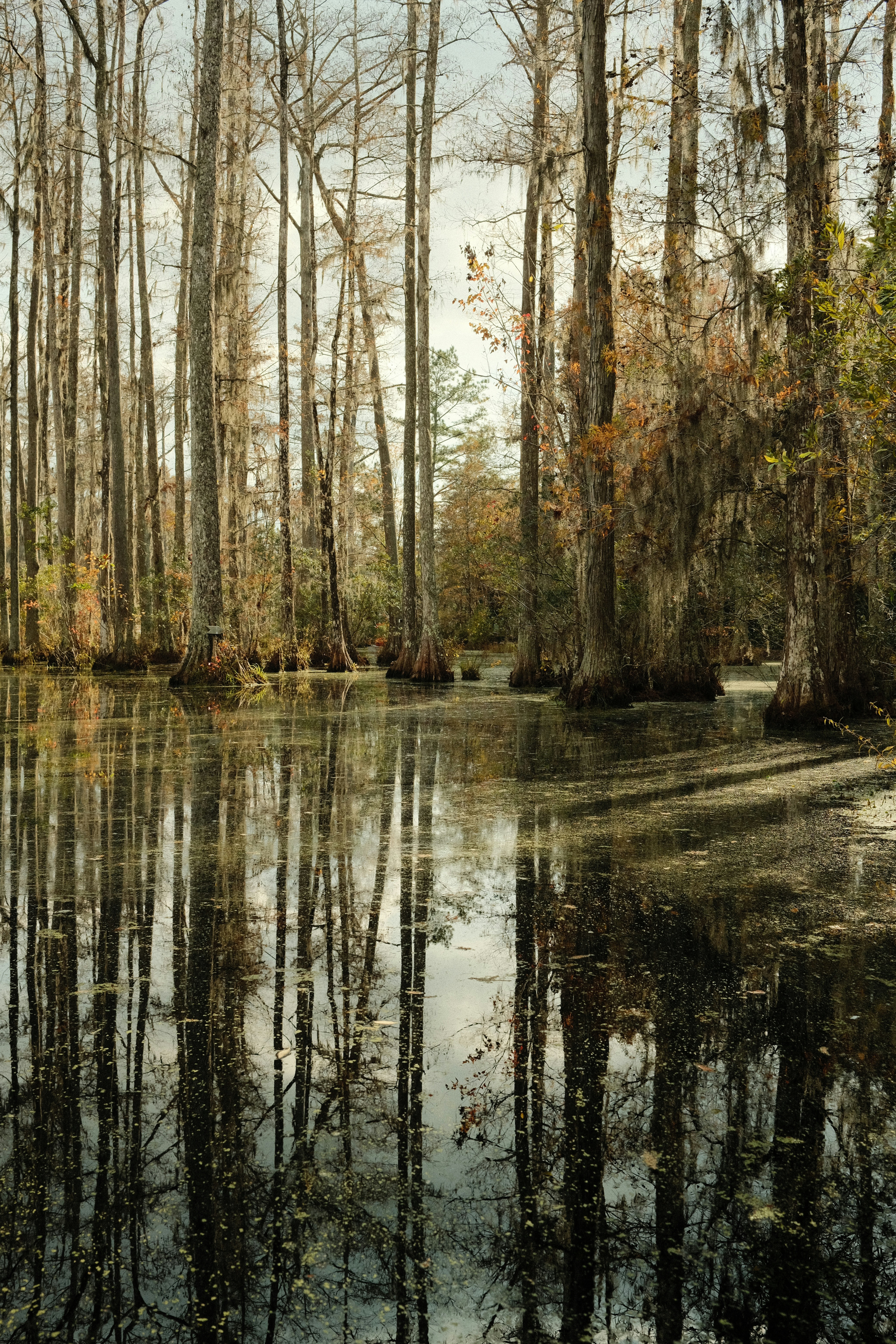 Photo by theaaronsimpson