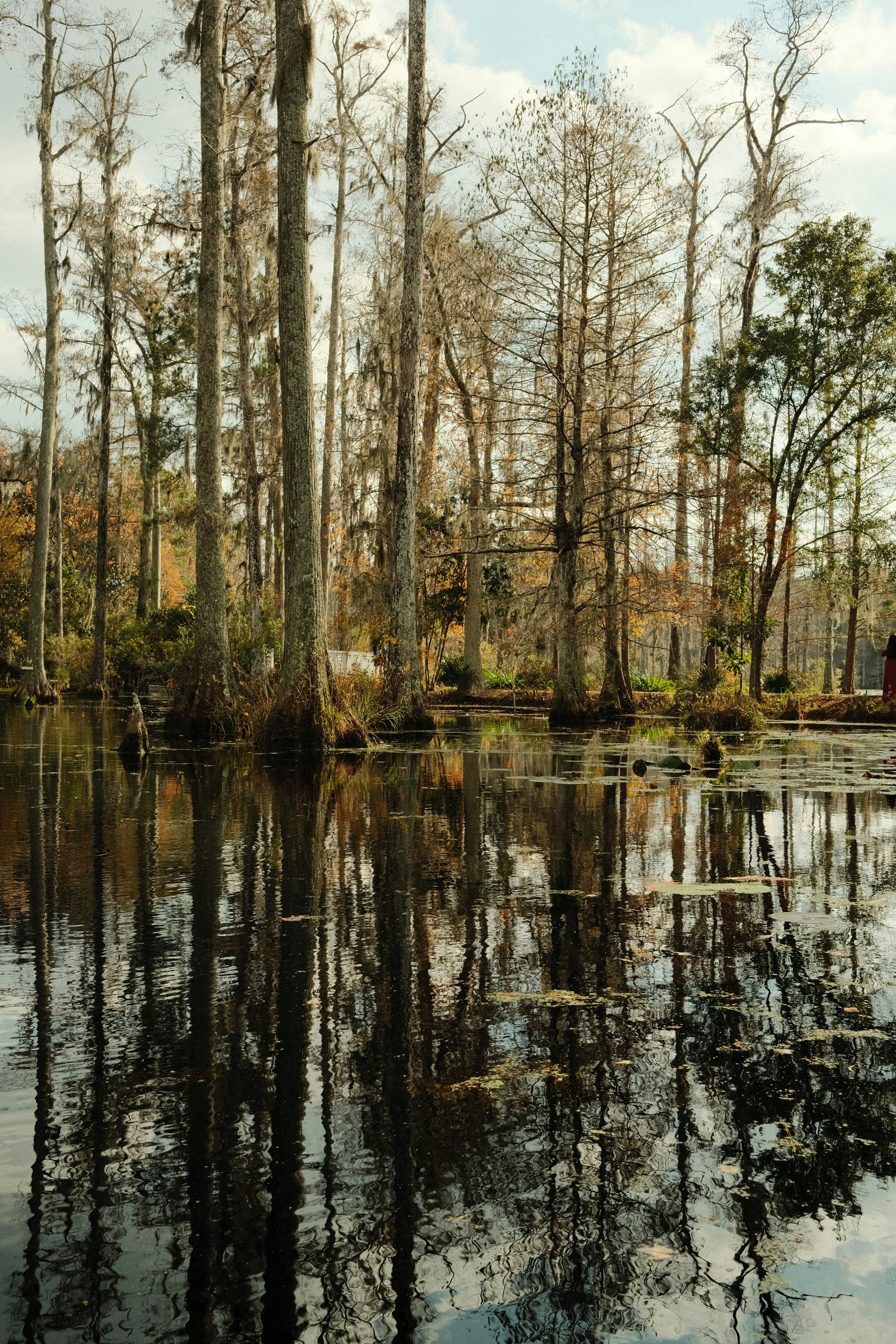 Photo by theaaronsimpson