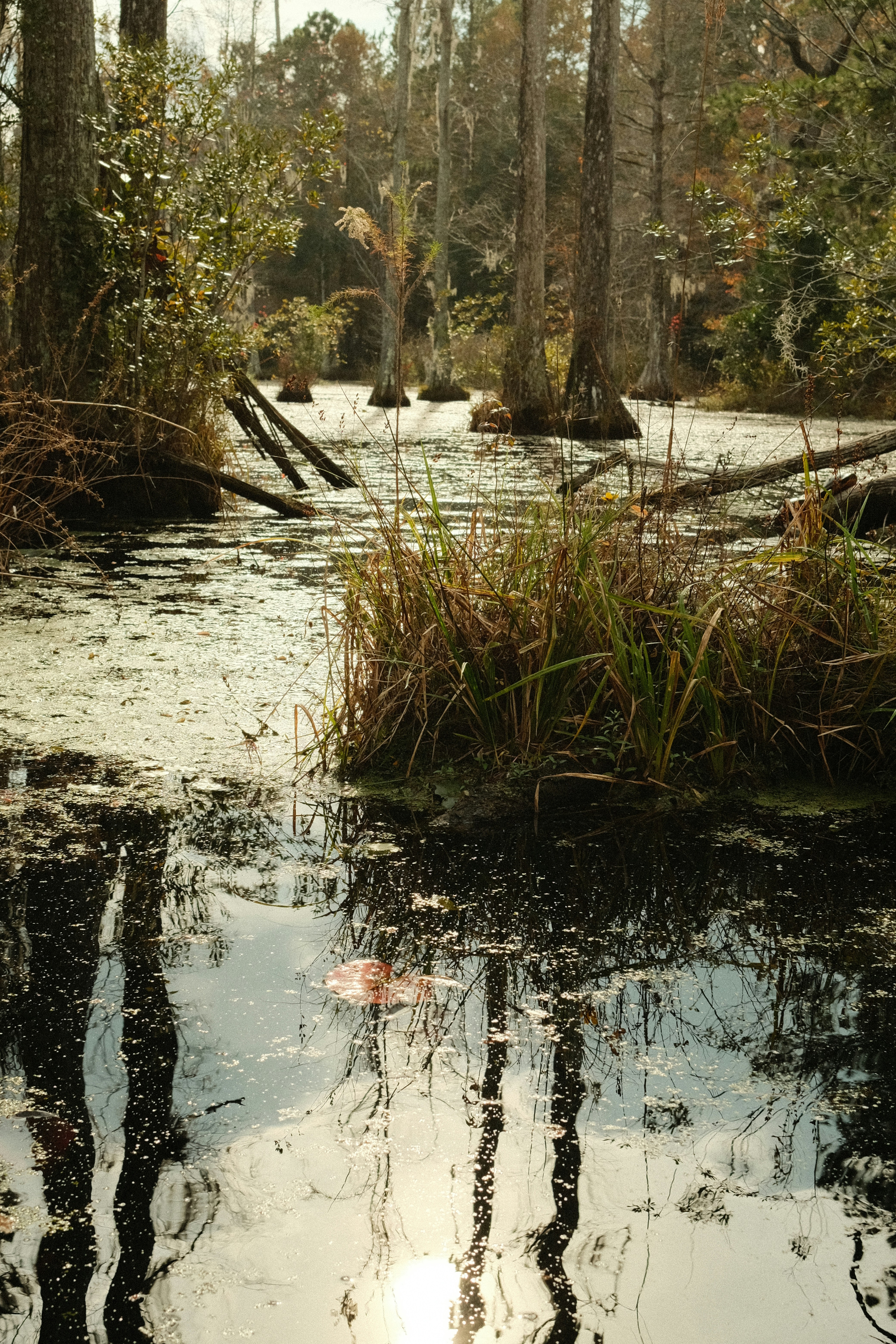 Photo by theaaronsimpson