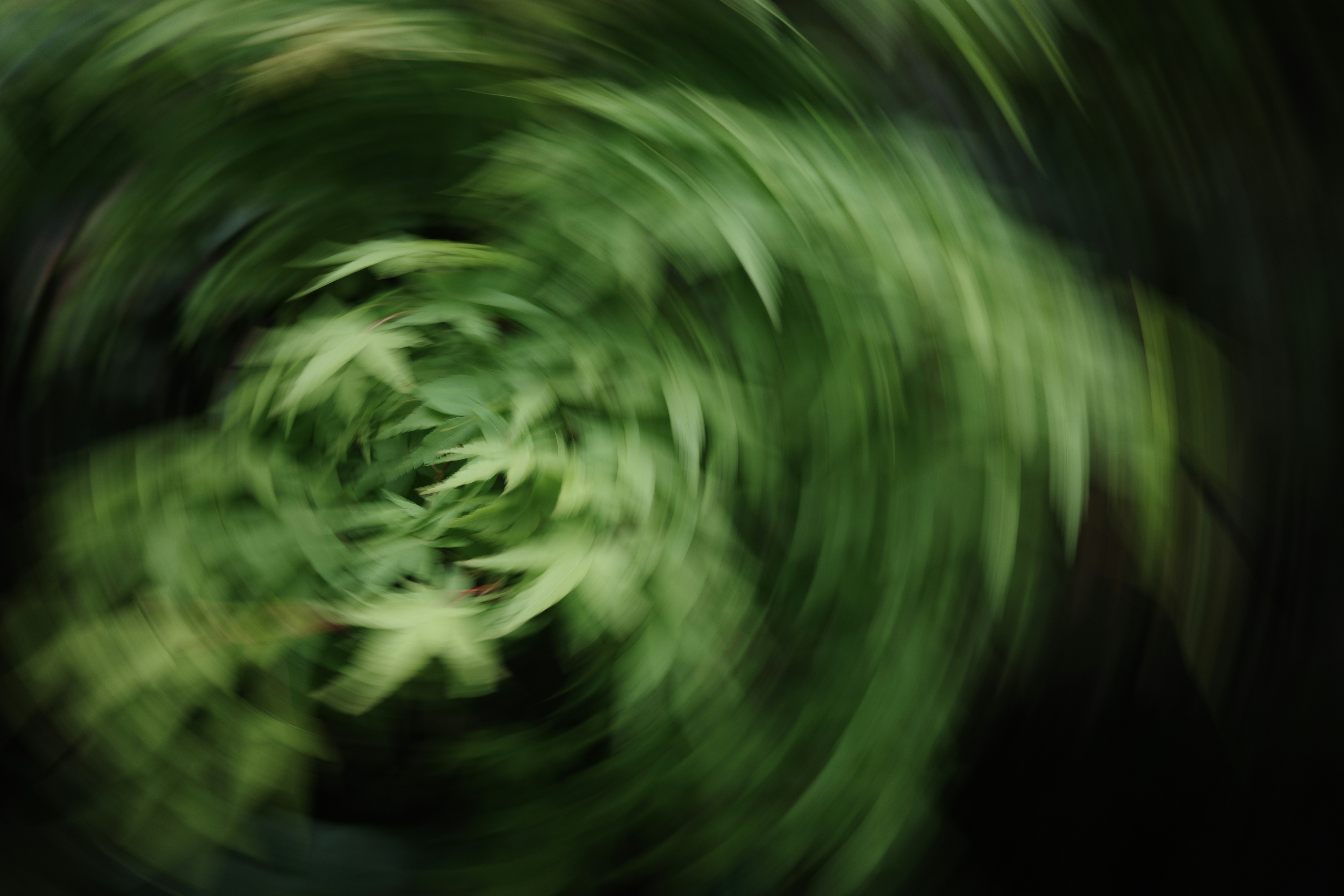 Photo by bangbangcheung