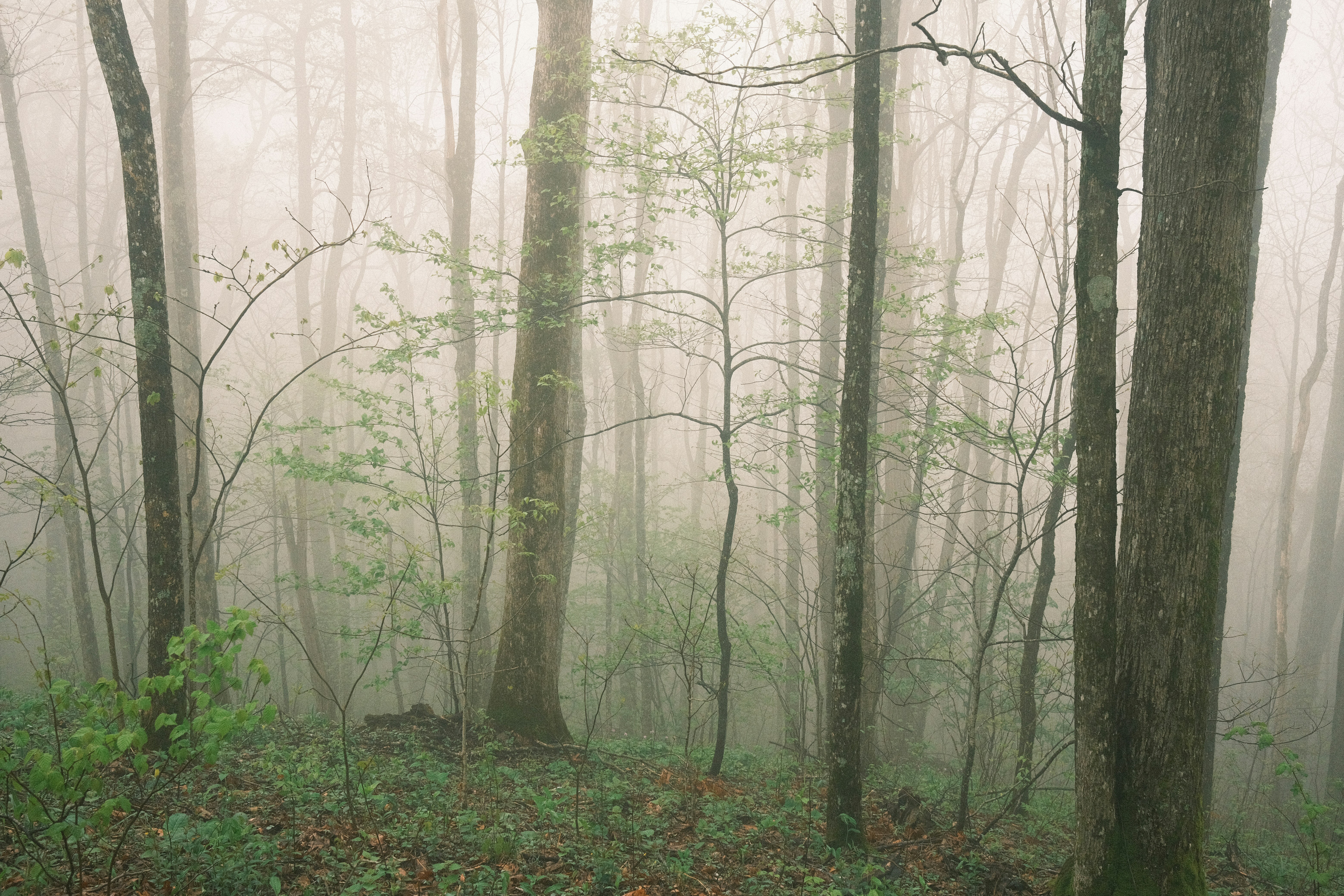 Photo by theaaronsimpson