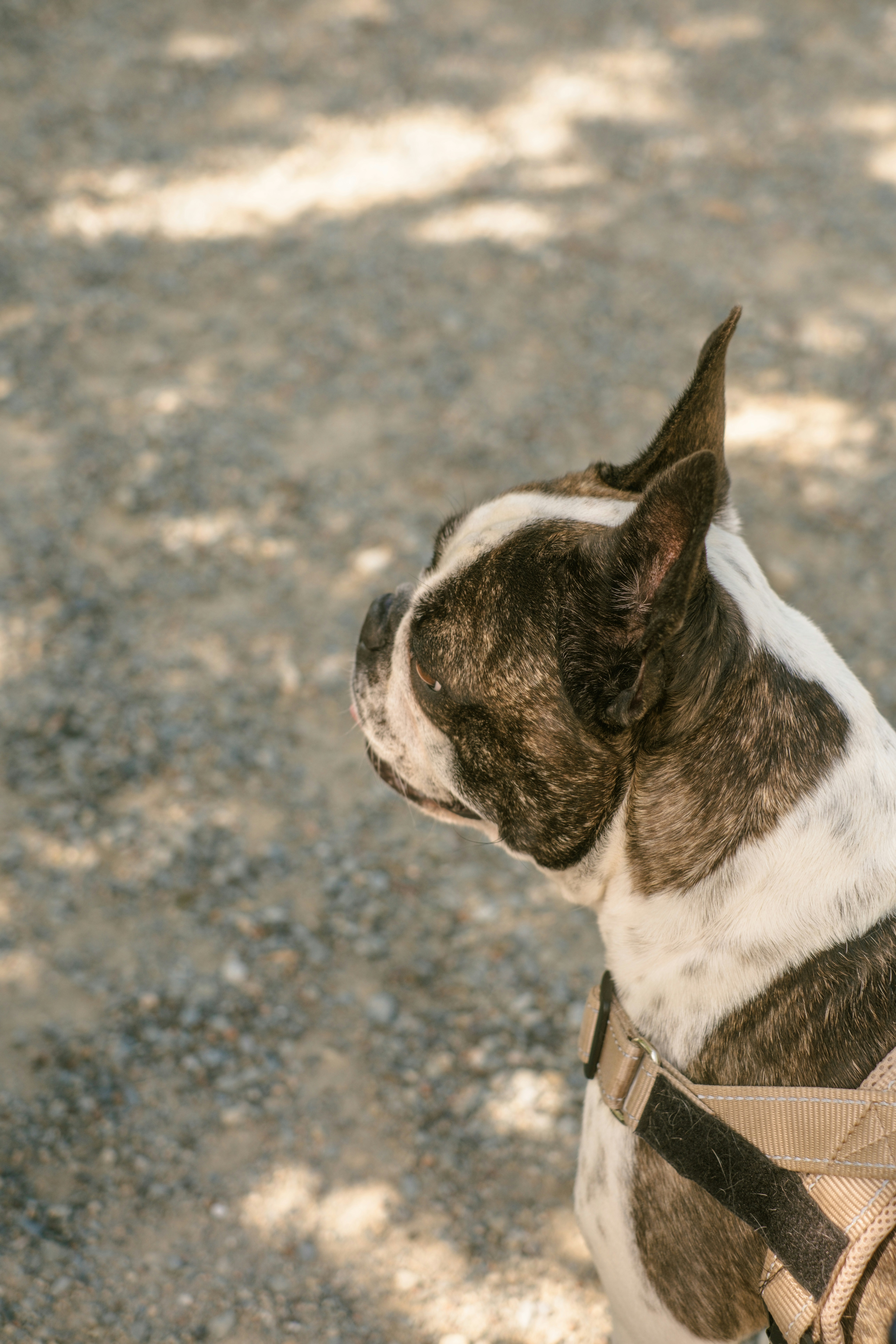 Photo by raegocreative