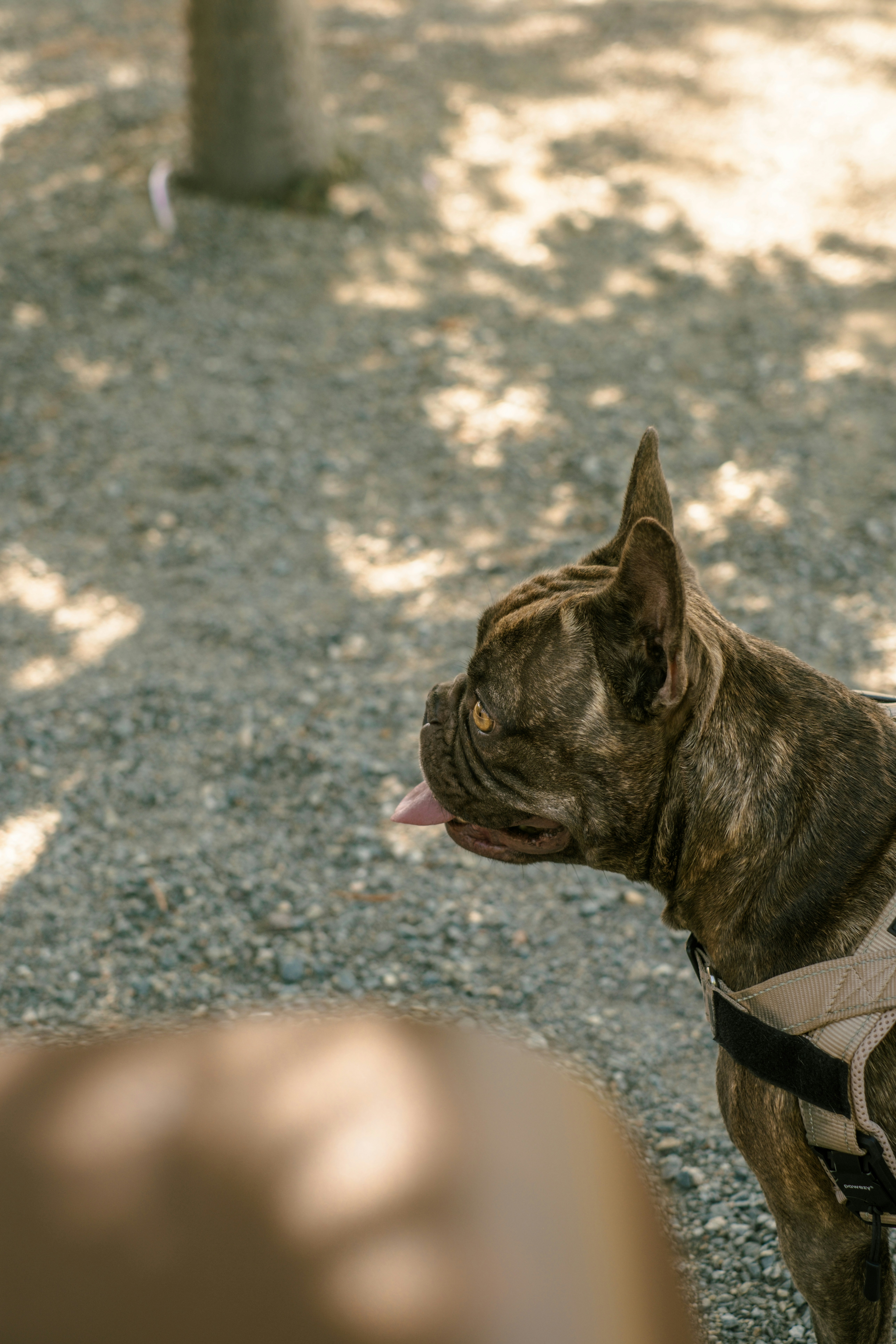 Photo by raegocreative