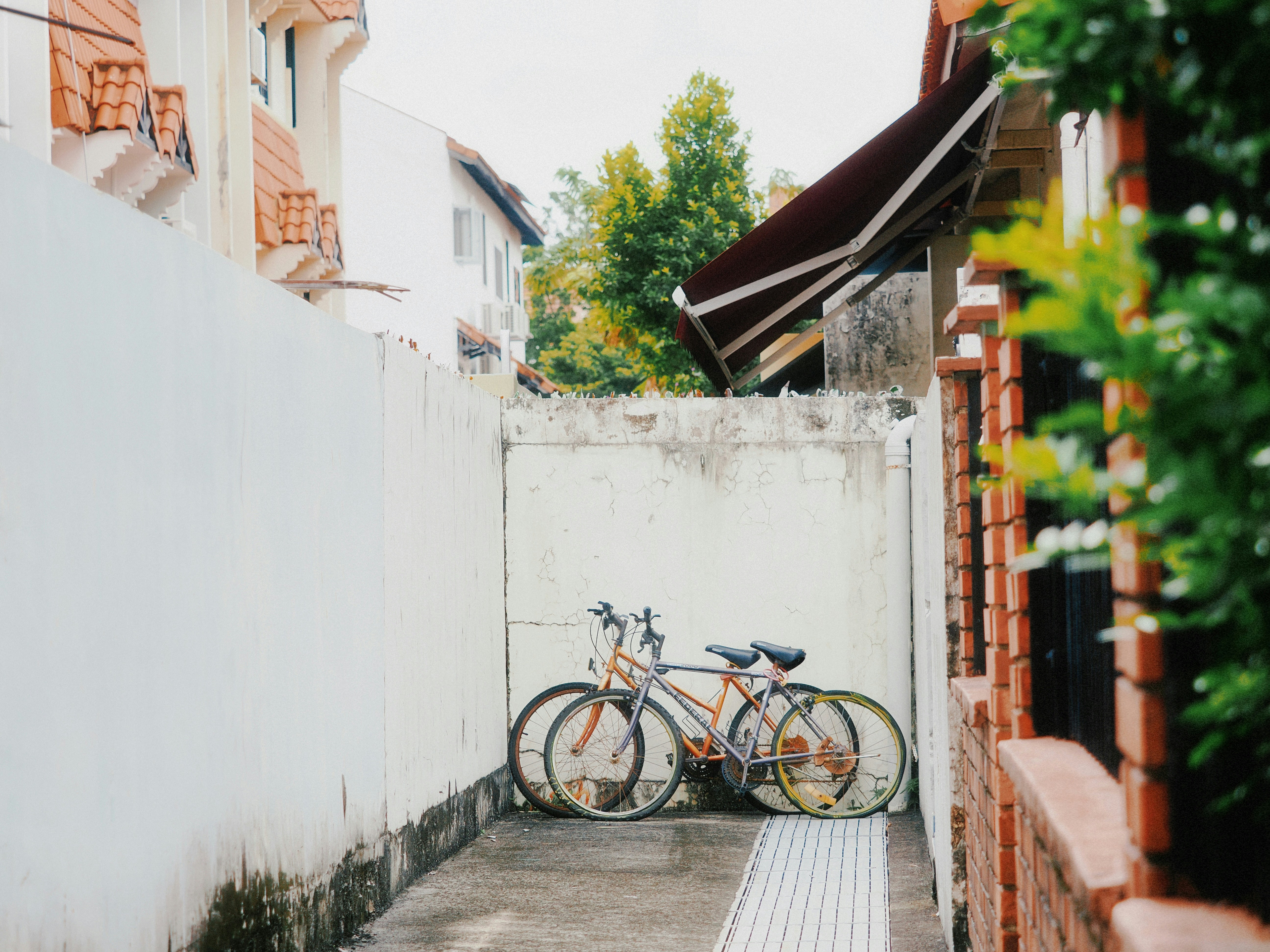 Photo by liliantruong2603