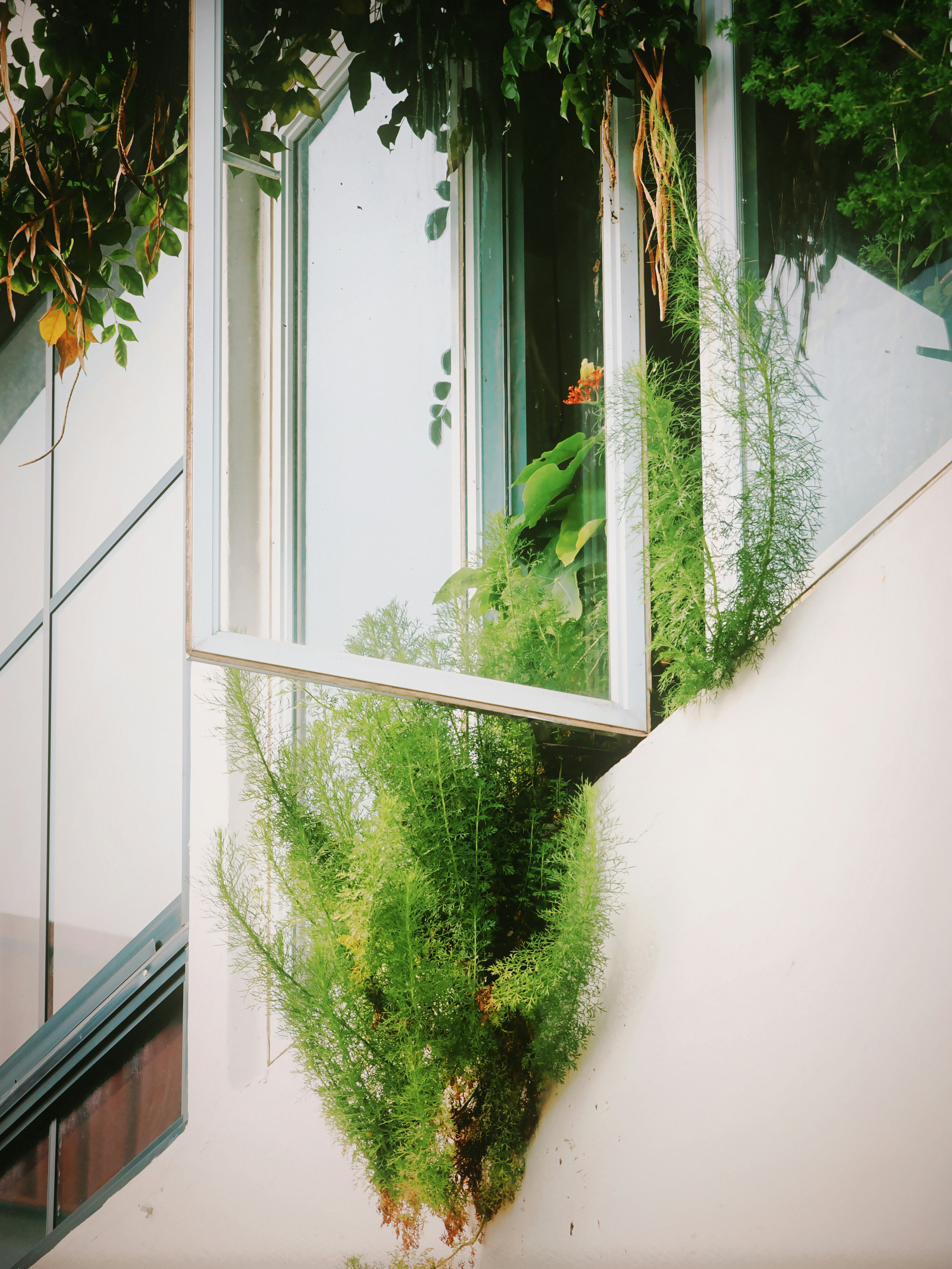 Photo by liliantruong2603