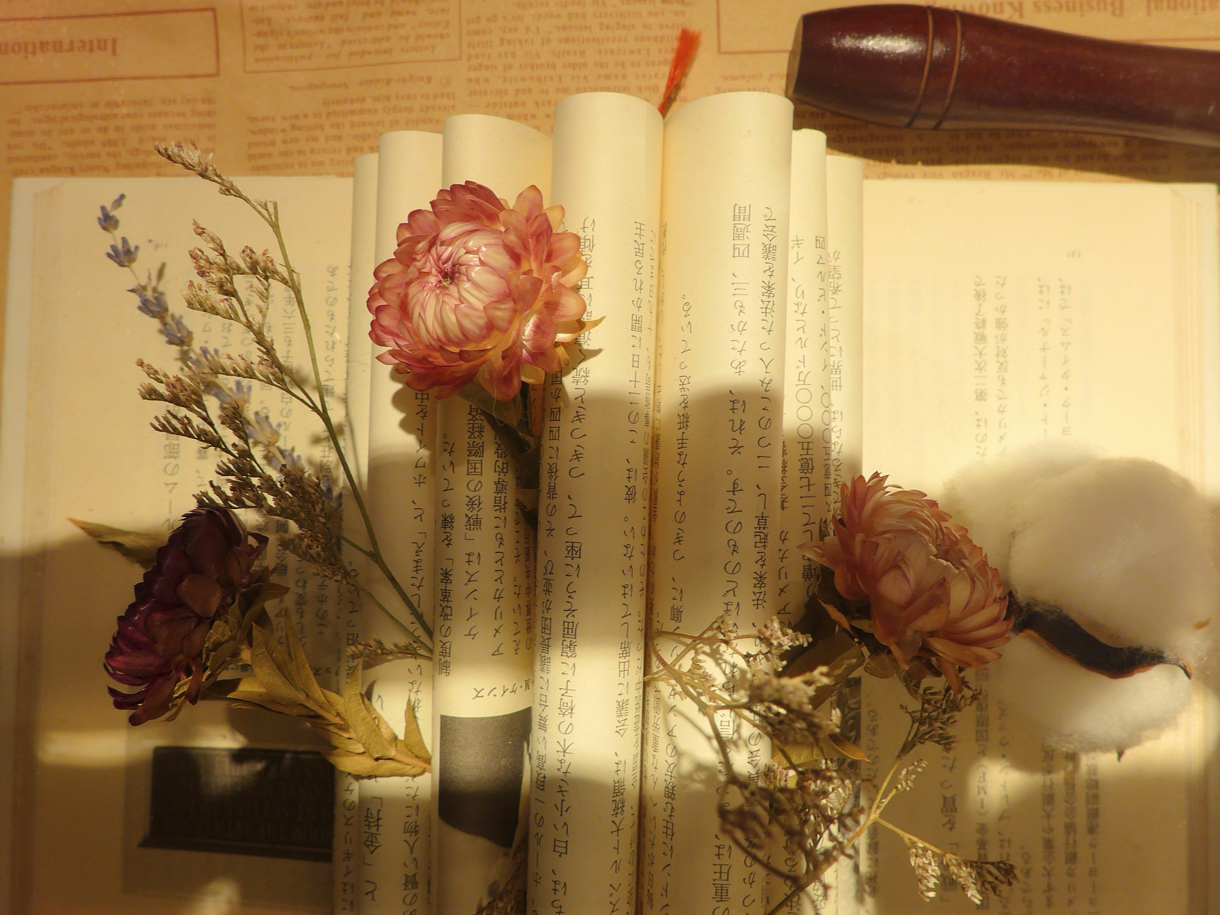 Photo by liliantruong2603