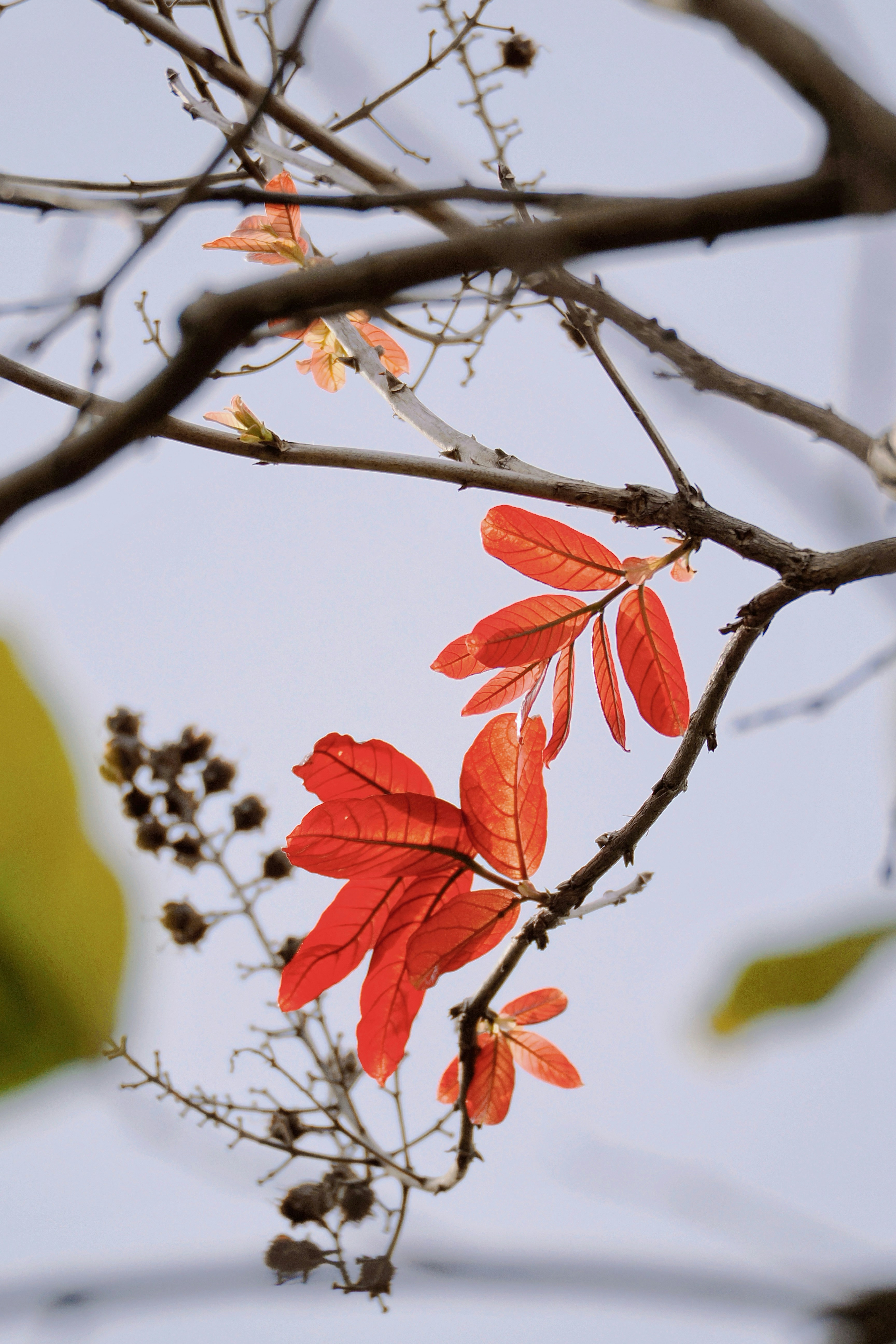 Photo by liliantruong2603