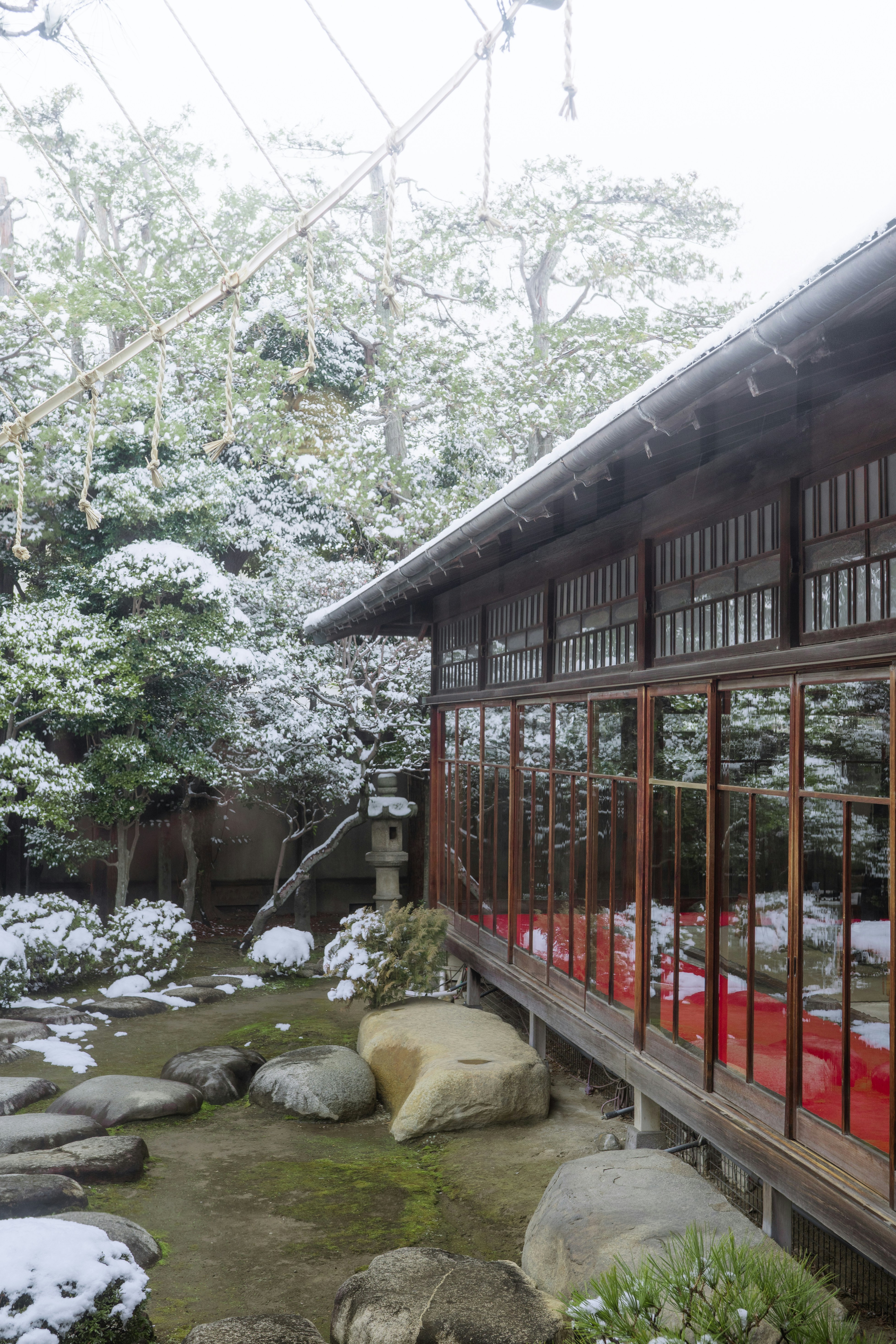 Jardín tradicional japonés con árboles cubiertos de nieve y edificios.