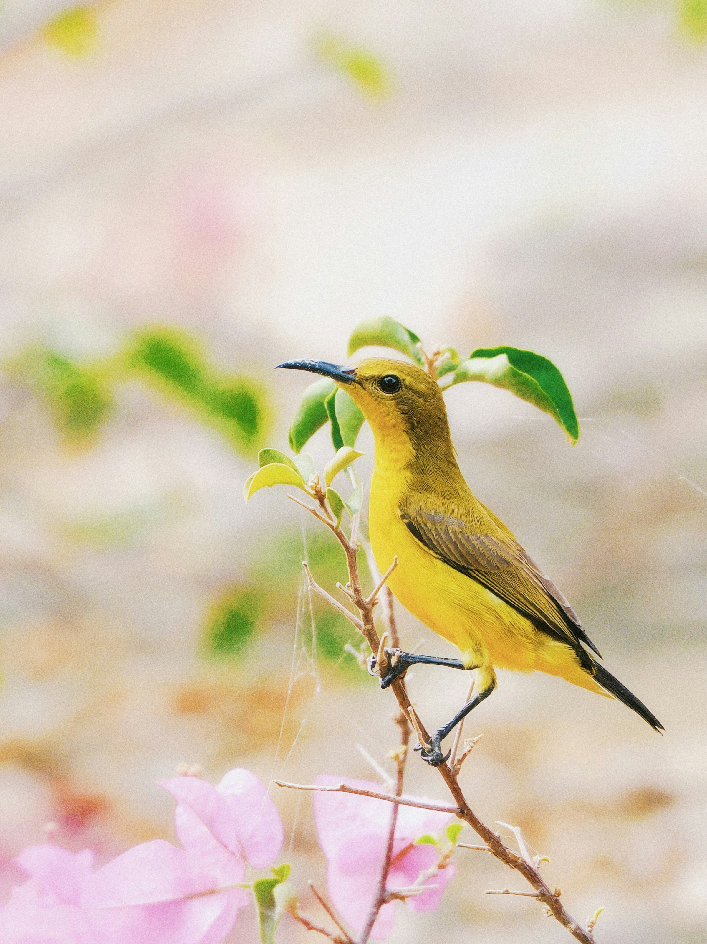 Photo by liliantruong2603