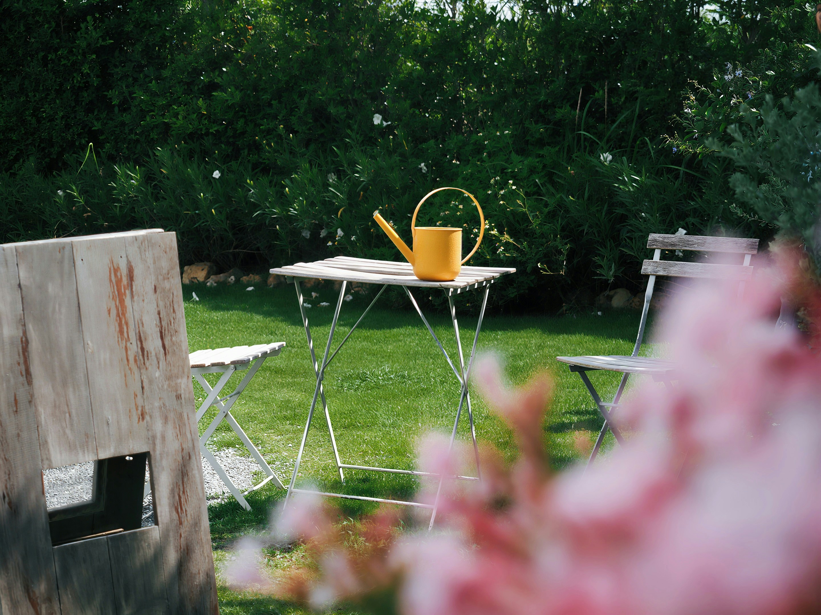 Photo by liliantruong2603