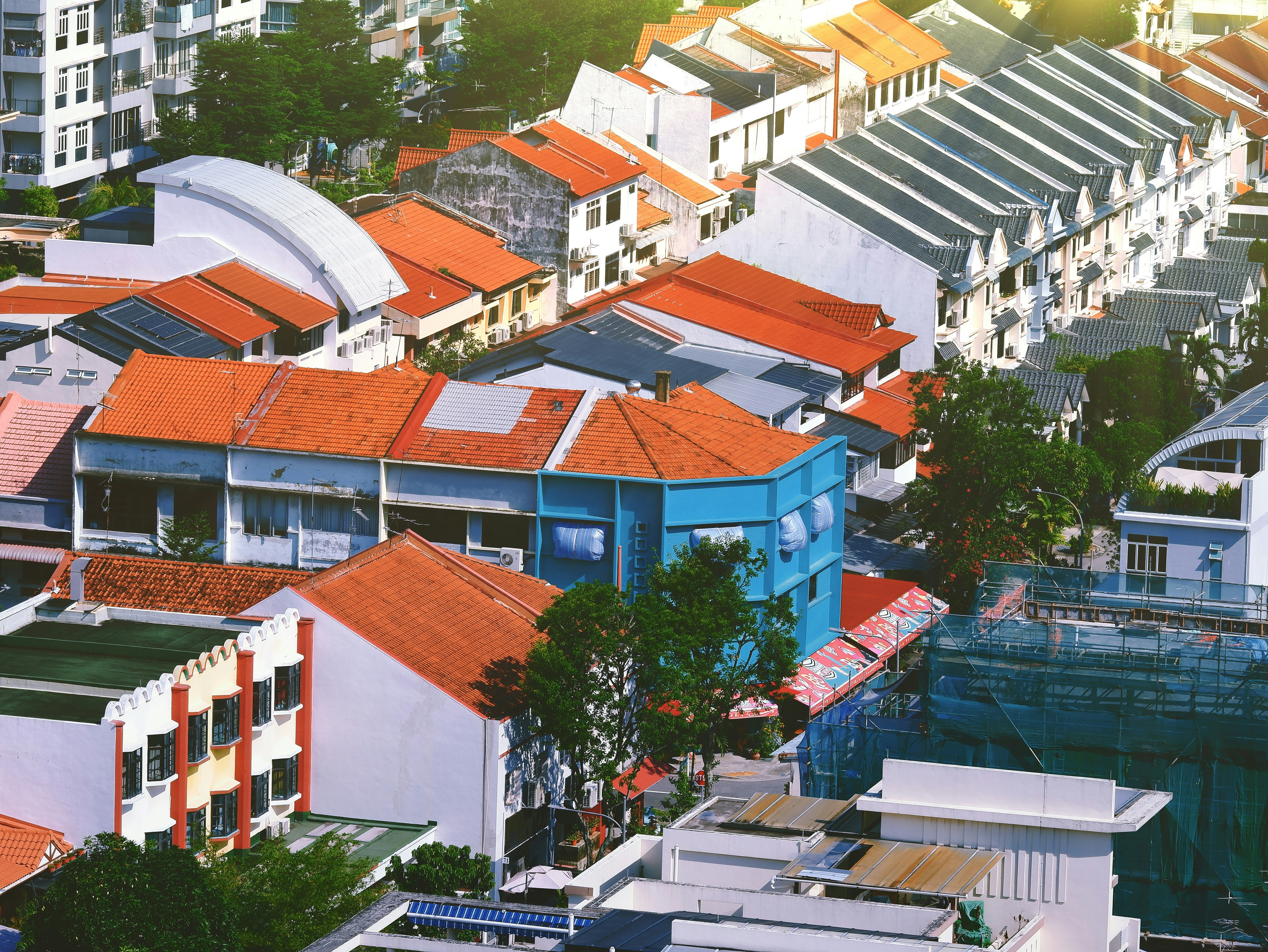 Photo by liliantruong2603