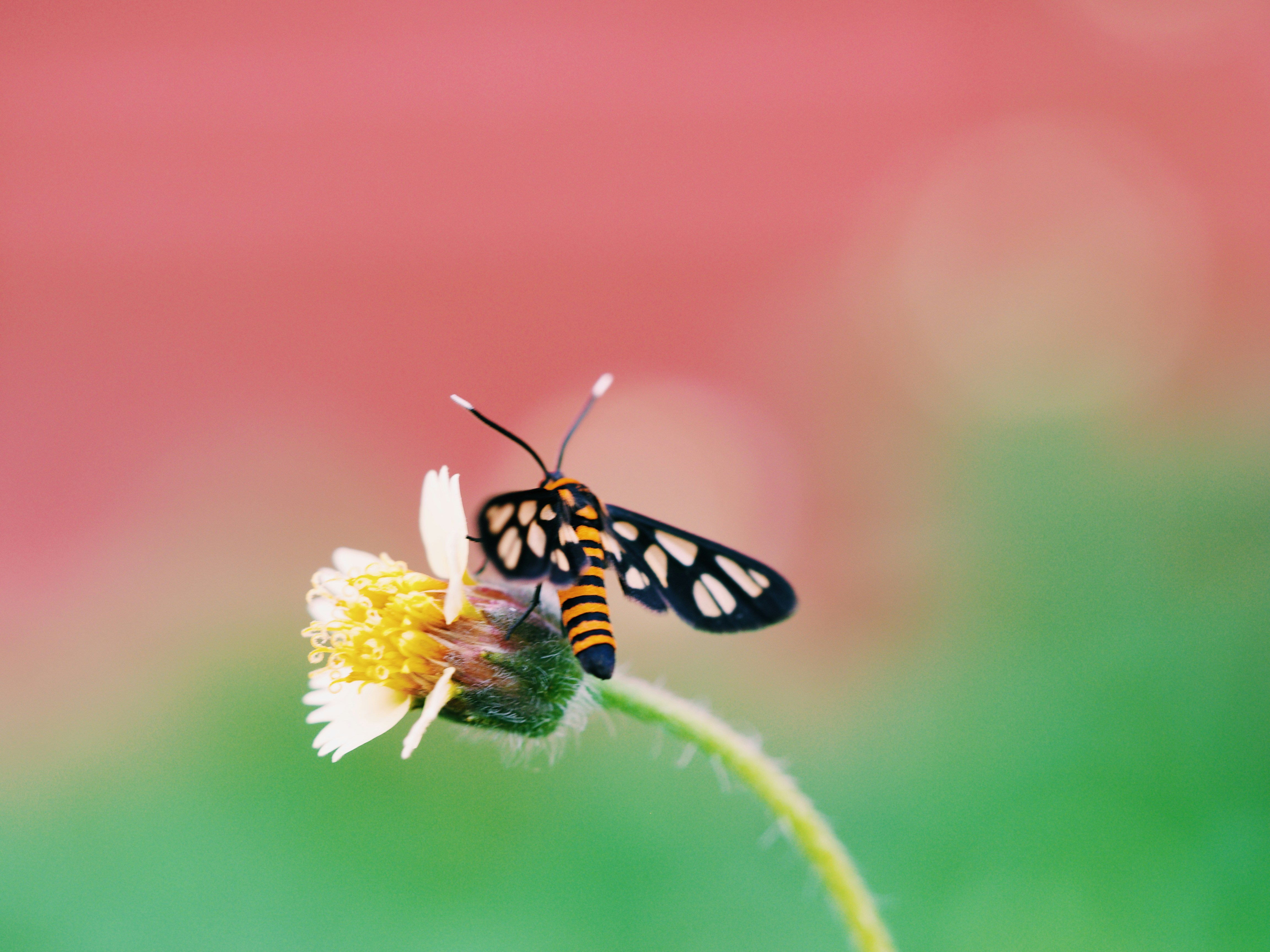 Photo by liliantruong2603