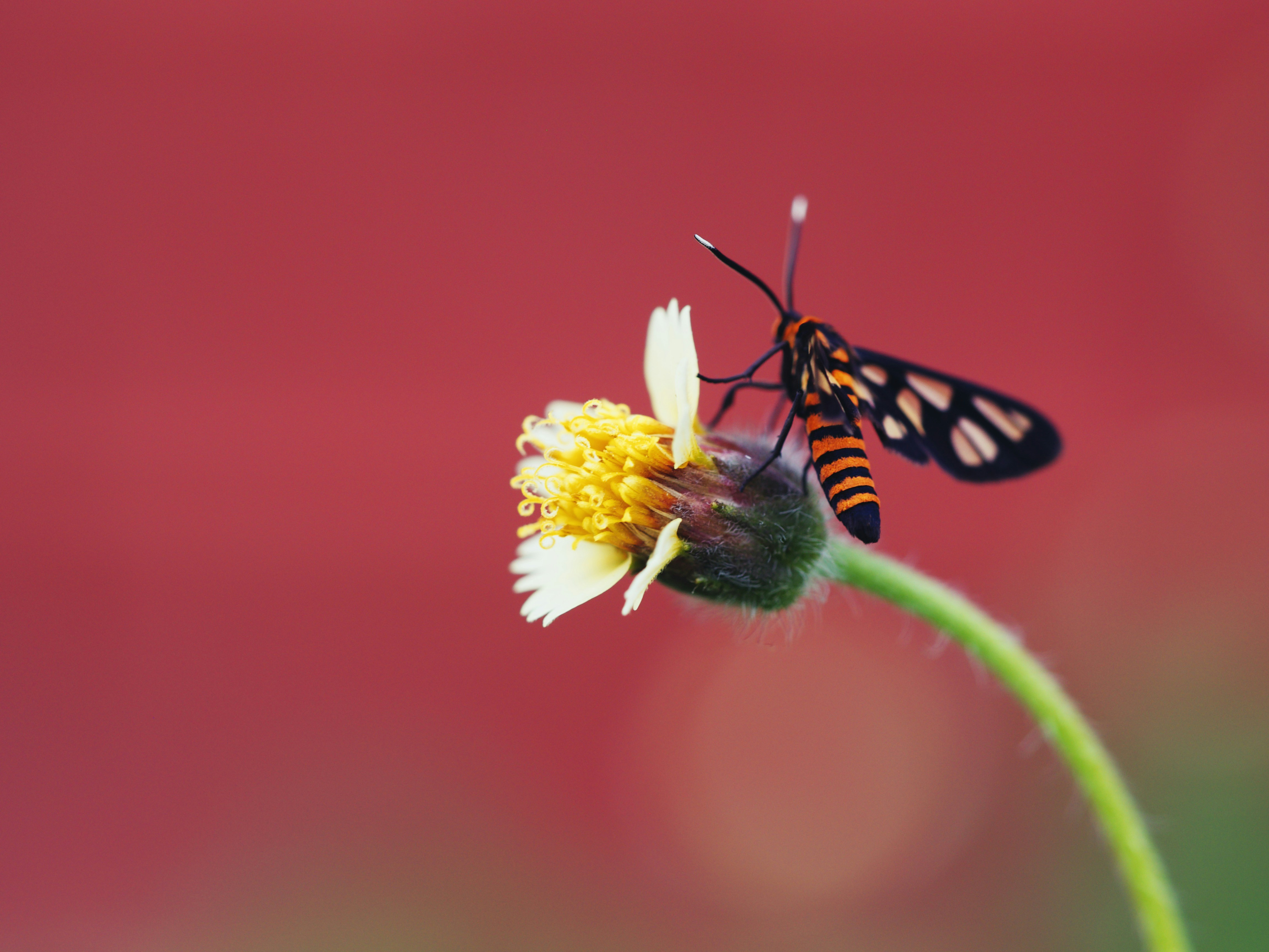 Photo by liliantruong2603