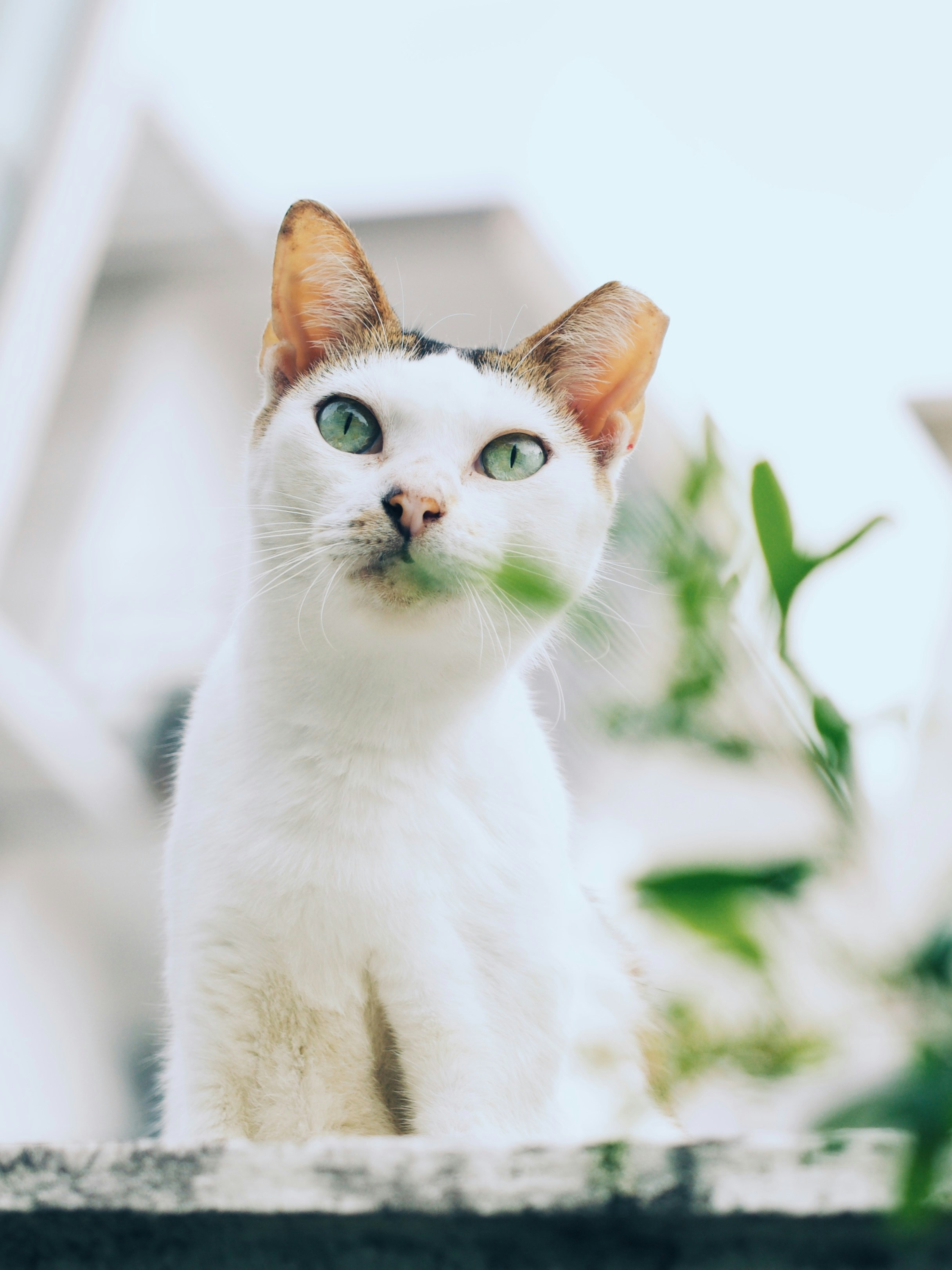 Photo by liliantruong2603