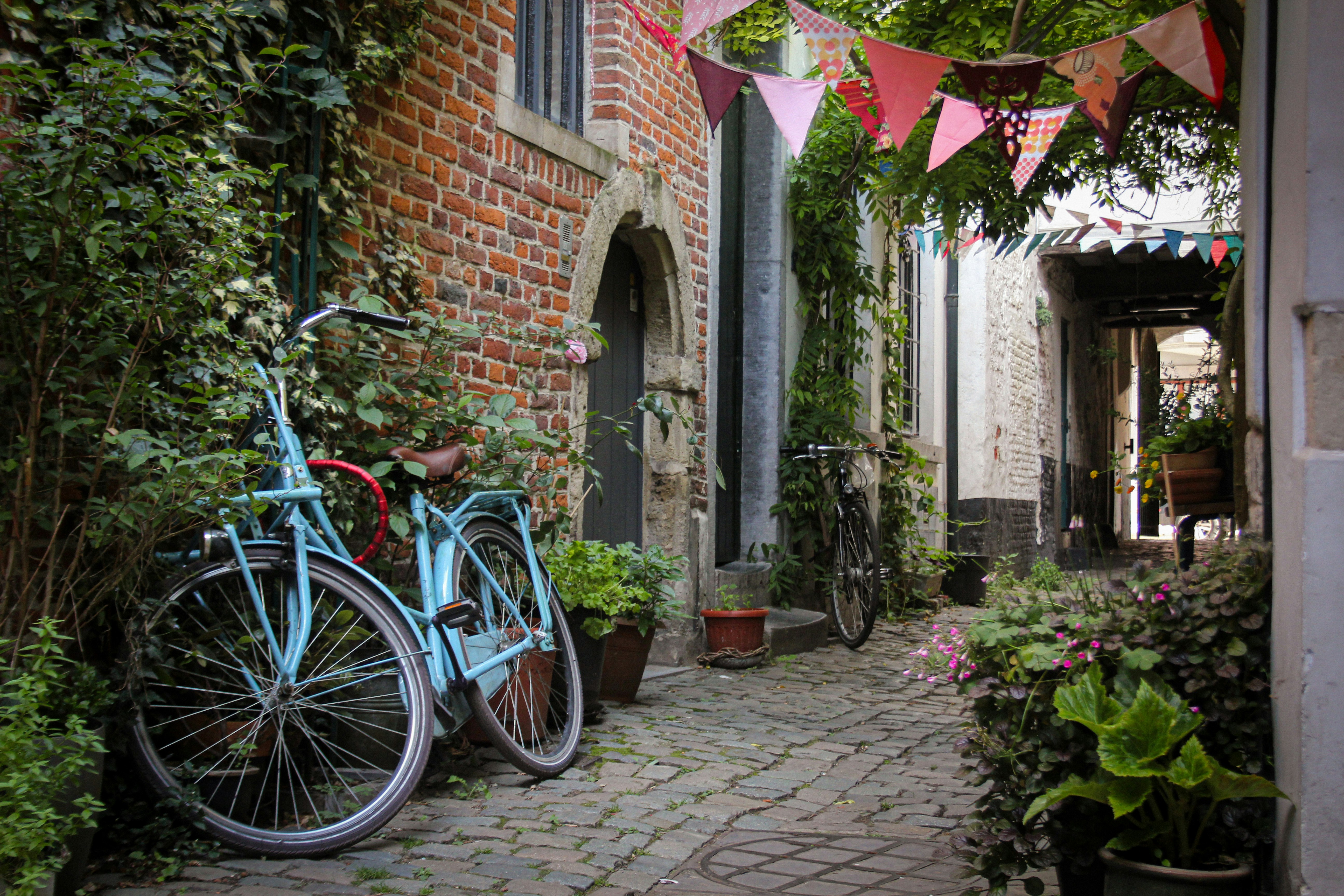 Photo by alcibiadedespoissons