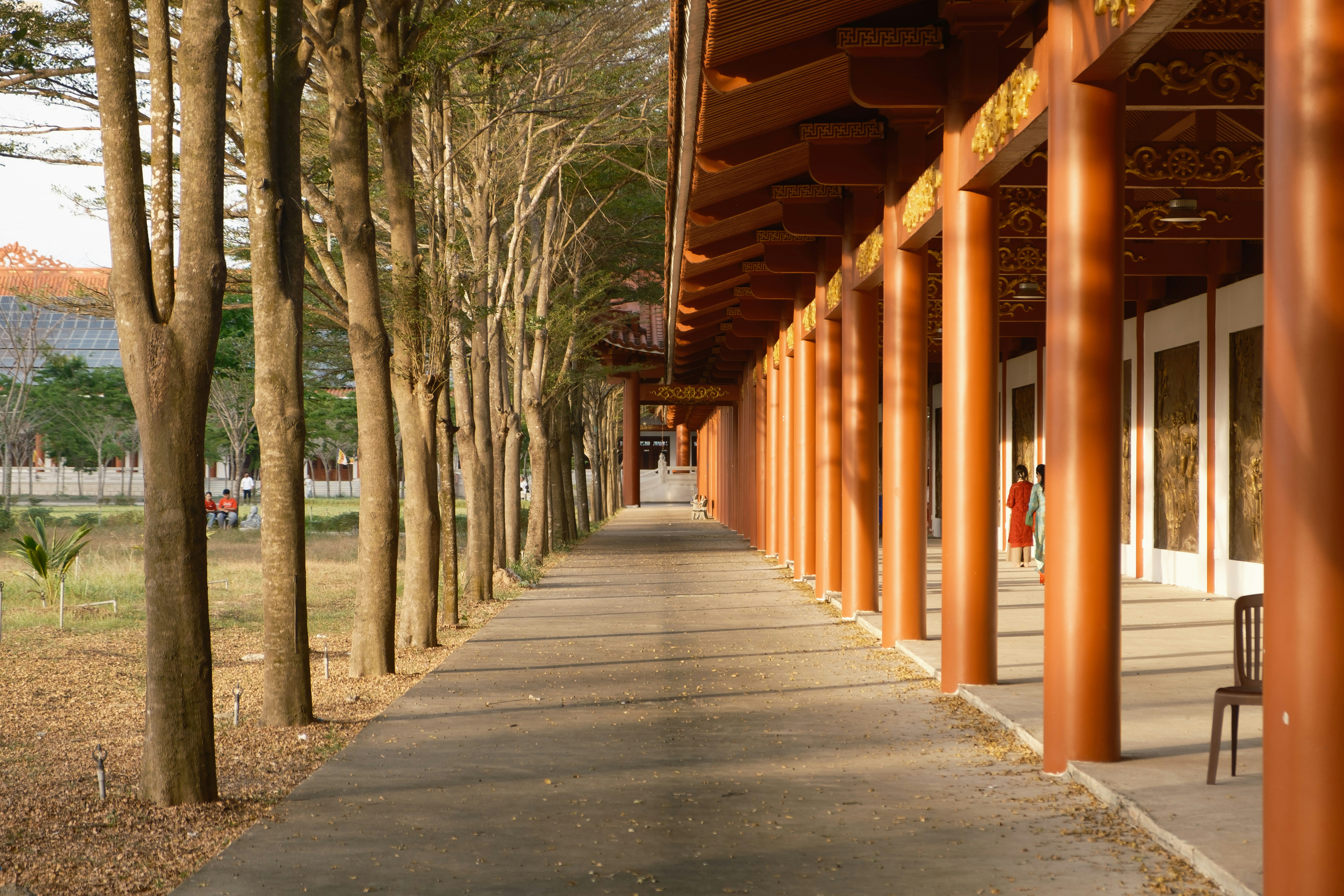 Long walkway with trees and pillars