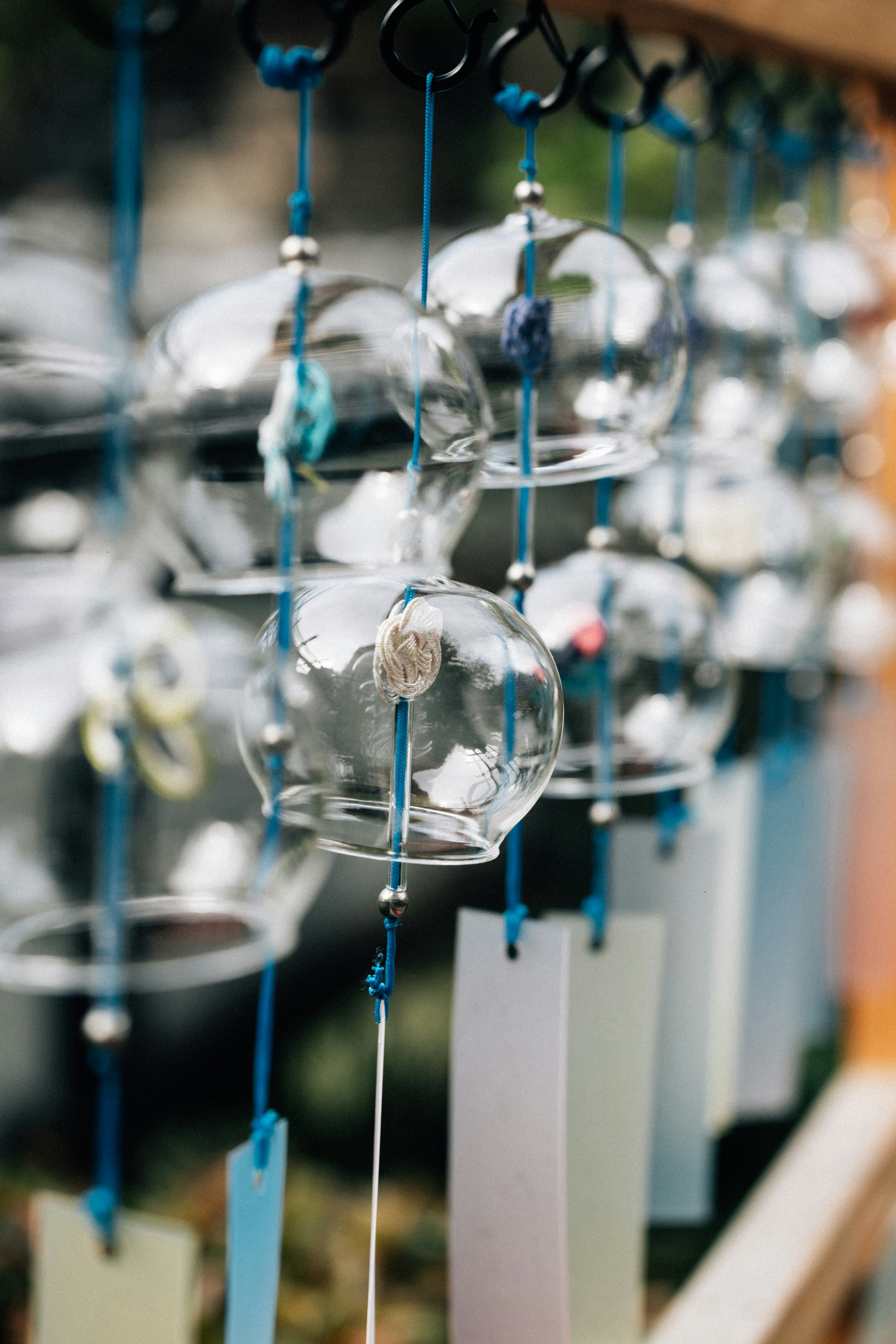 Photo by tsuyoshikozu