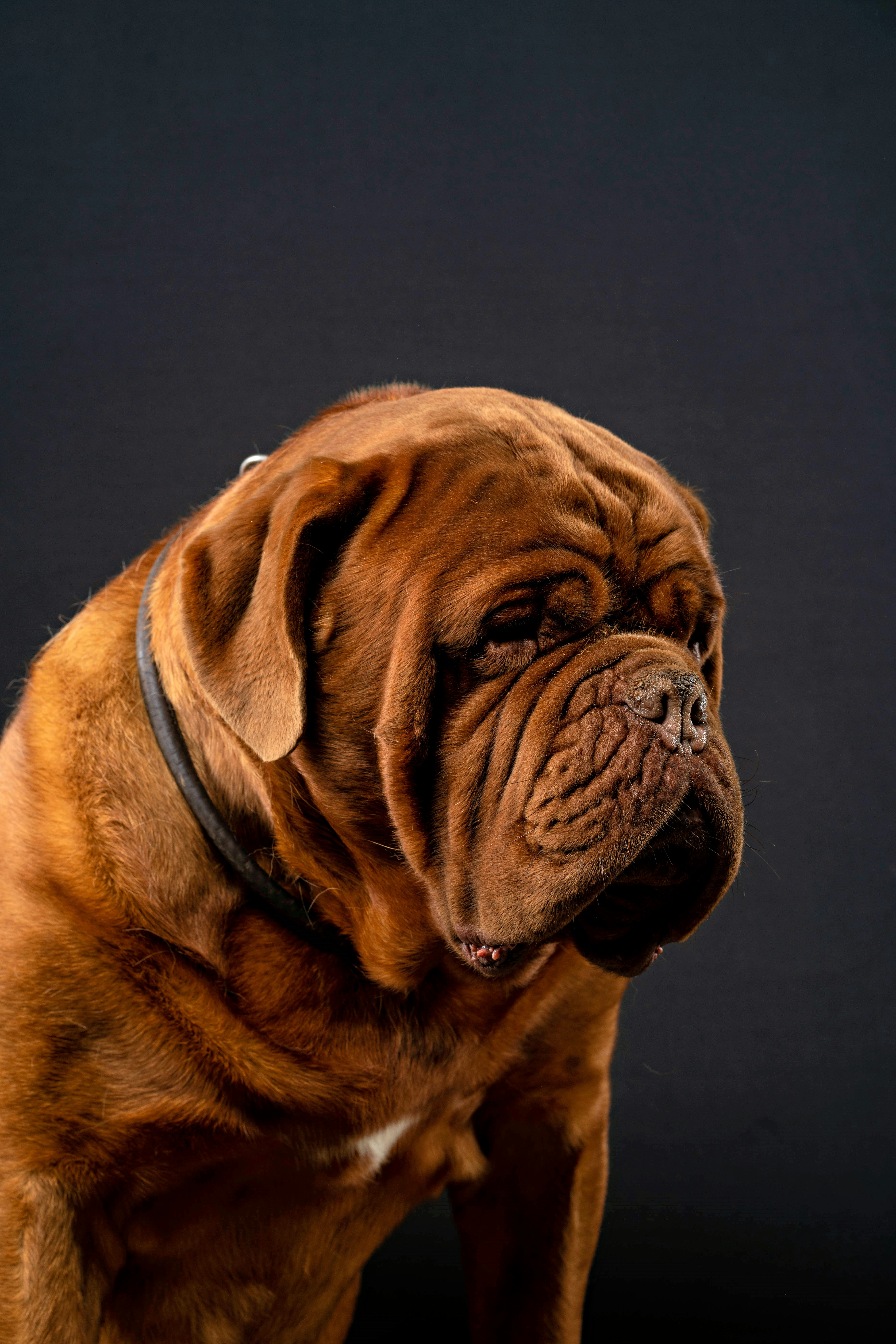 Photo by duehringfotografie