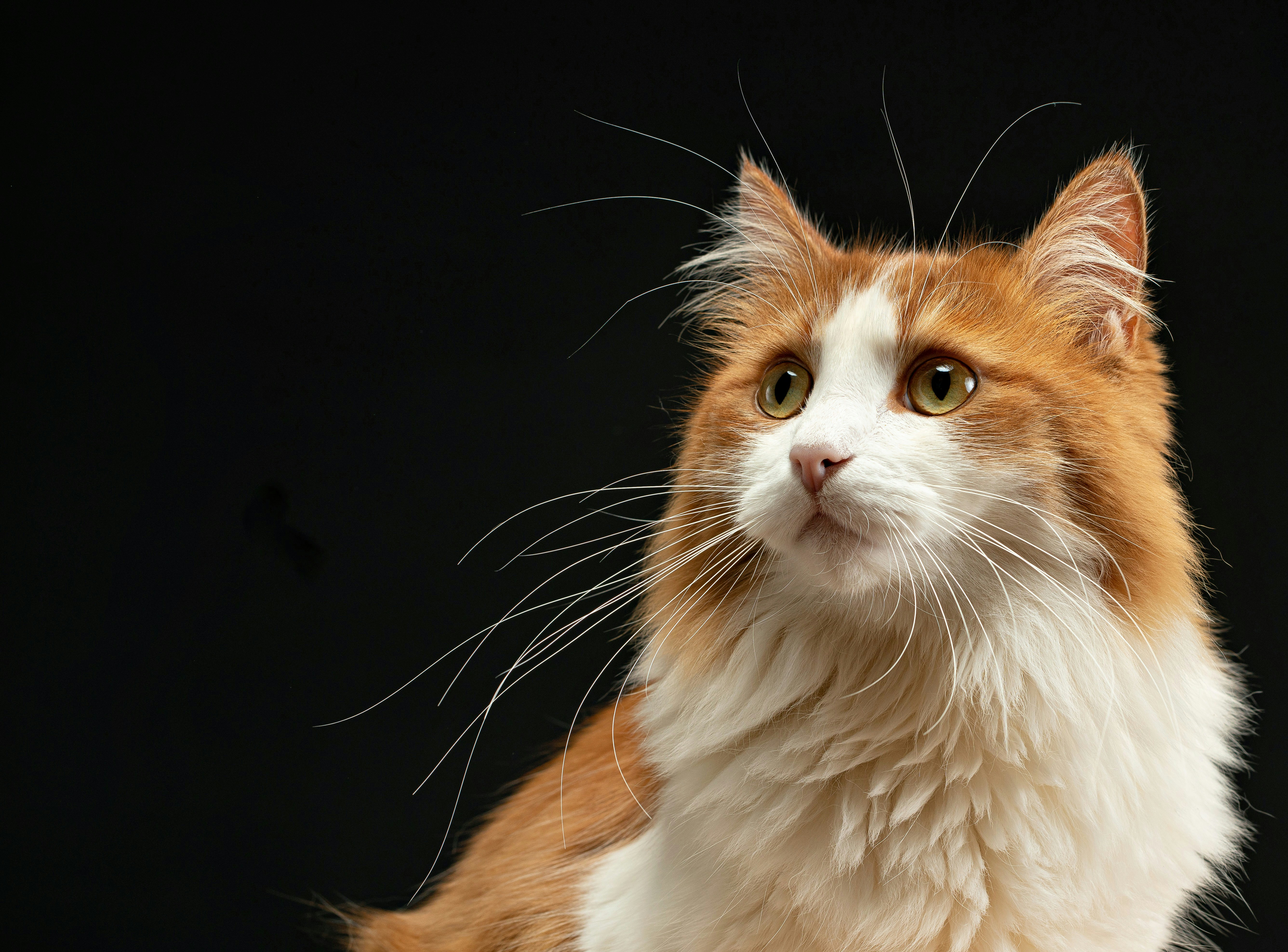 Photo by duehringfotografie