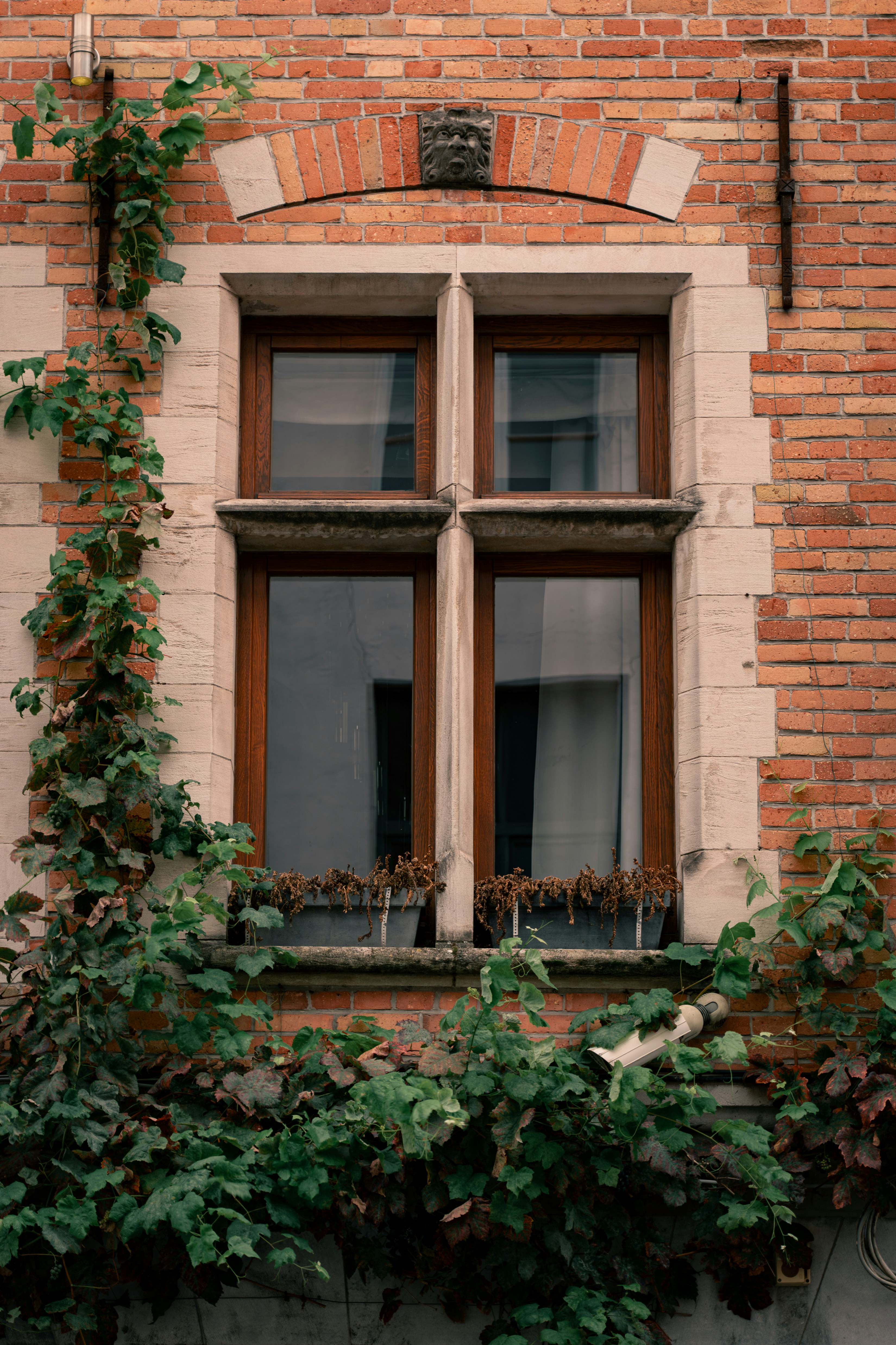 Photo by iso_excited