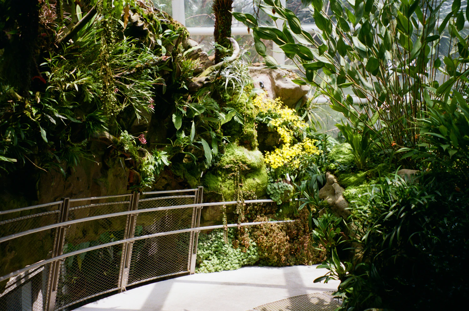 A lush garden pathway framed by greenery and flowering plants