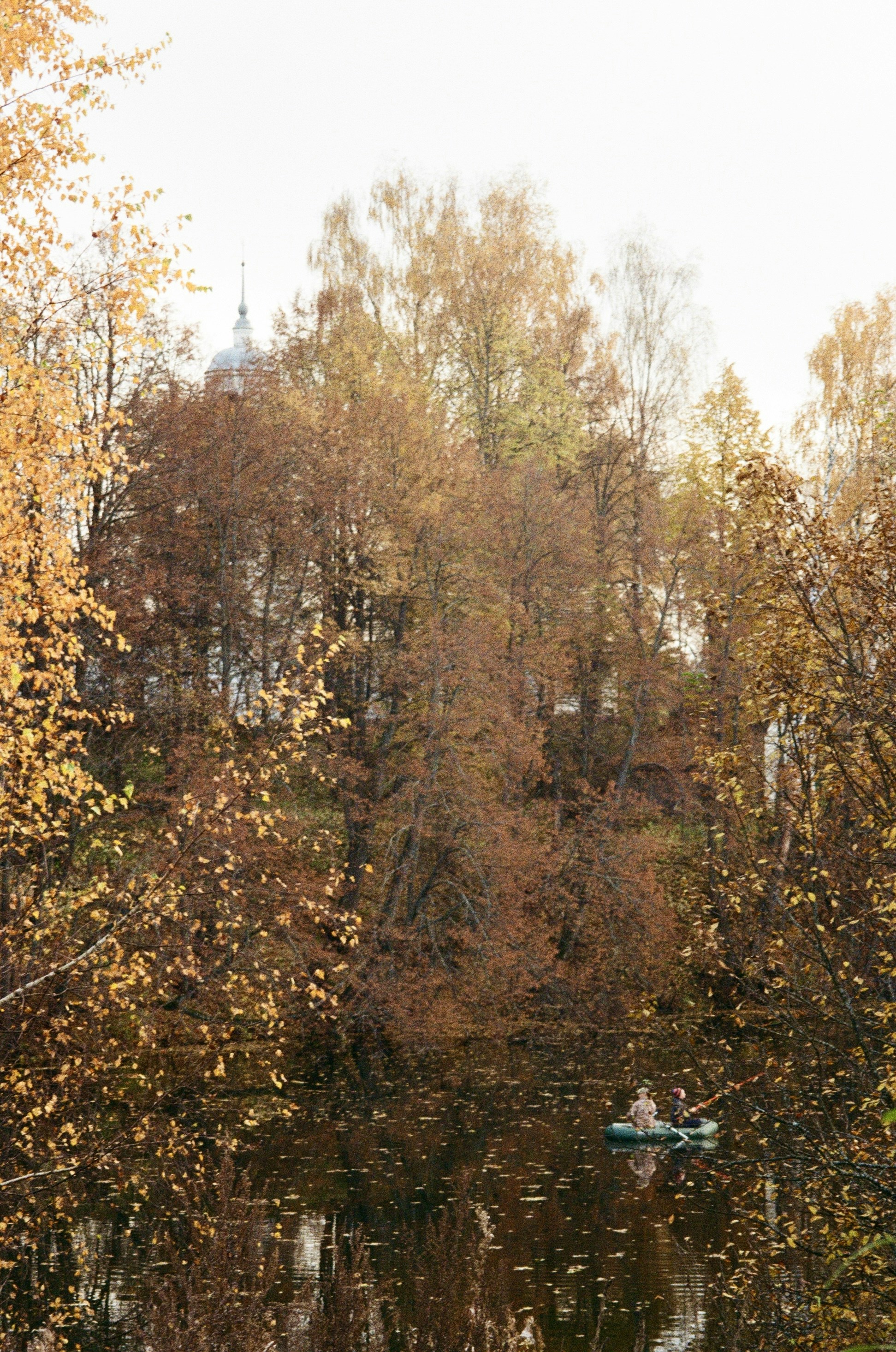 Photo by ulyyyanka