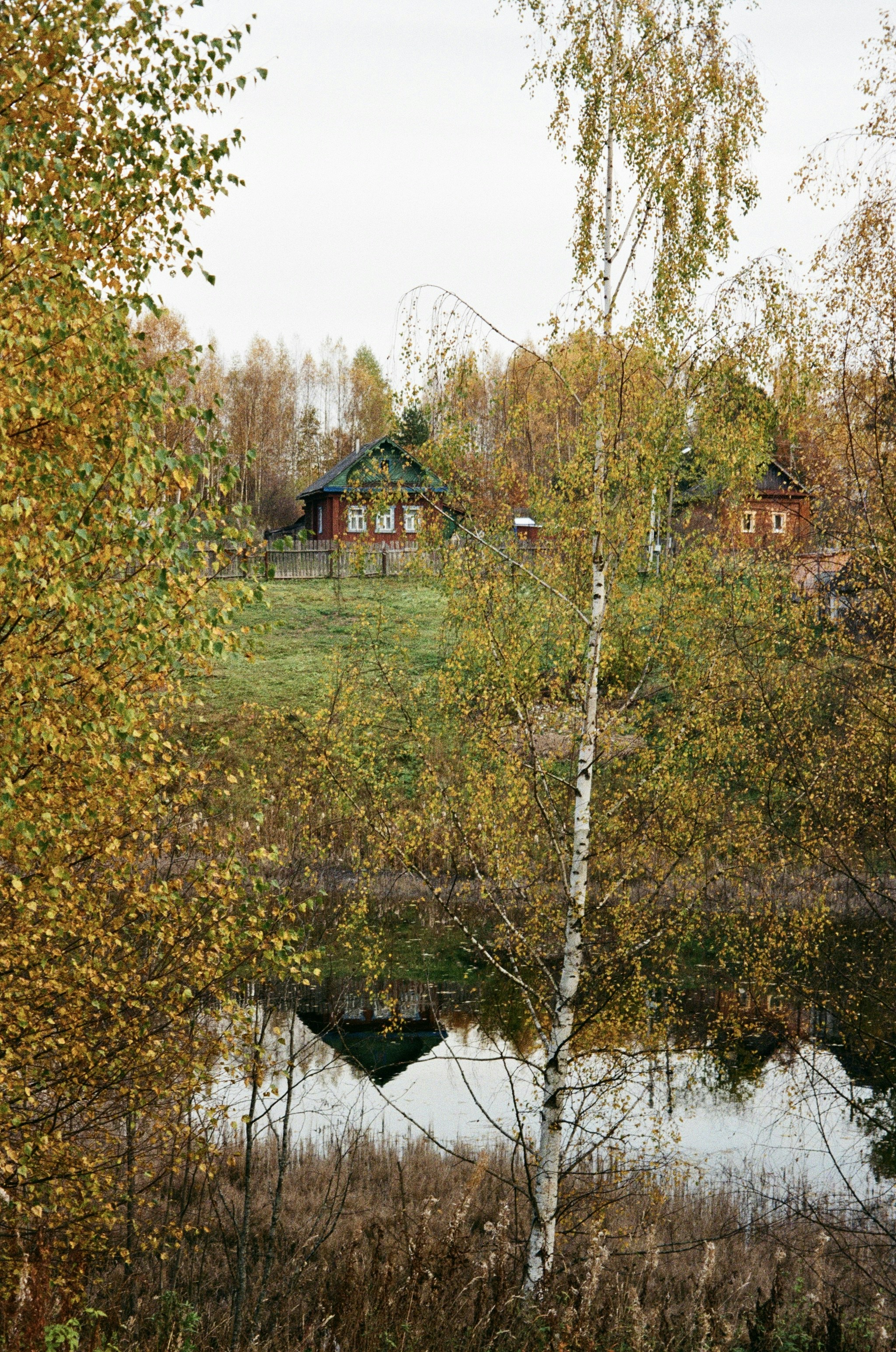 Photo by ulyyyanka