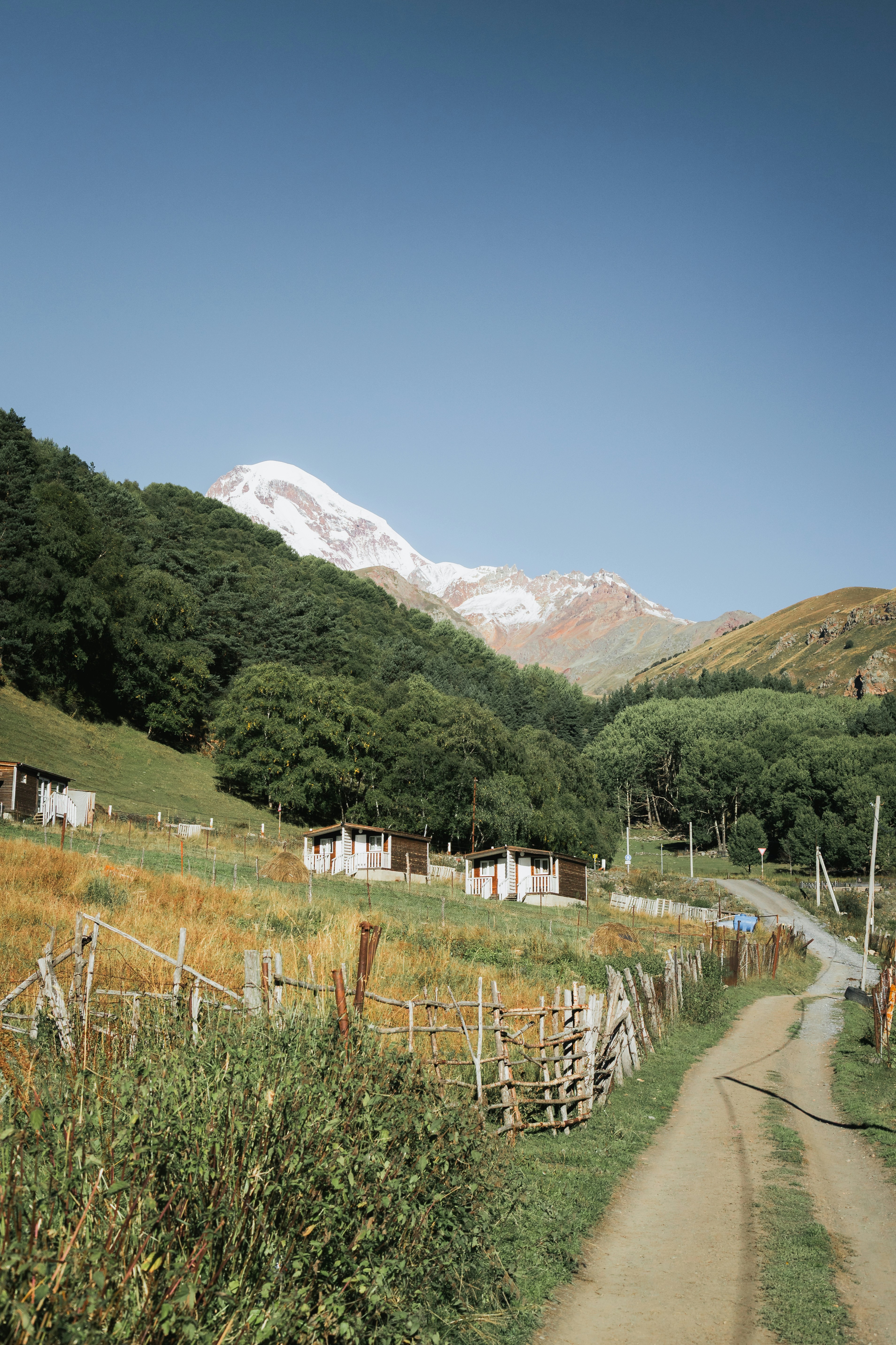 Budget Breakdown: What to Expect in 2026