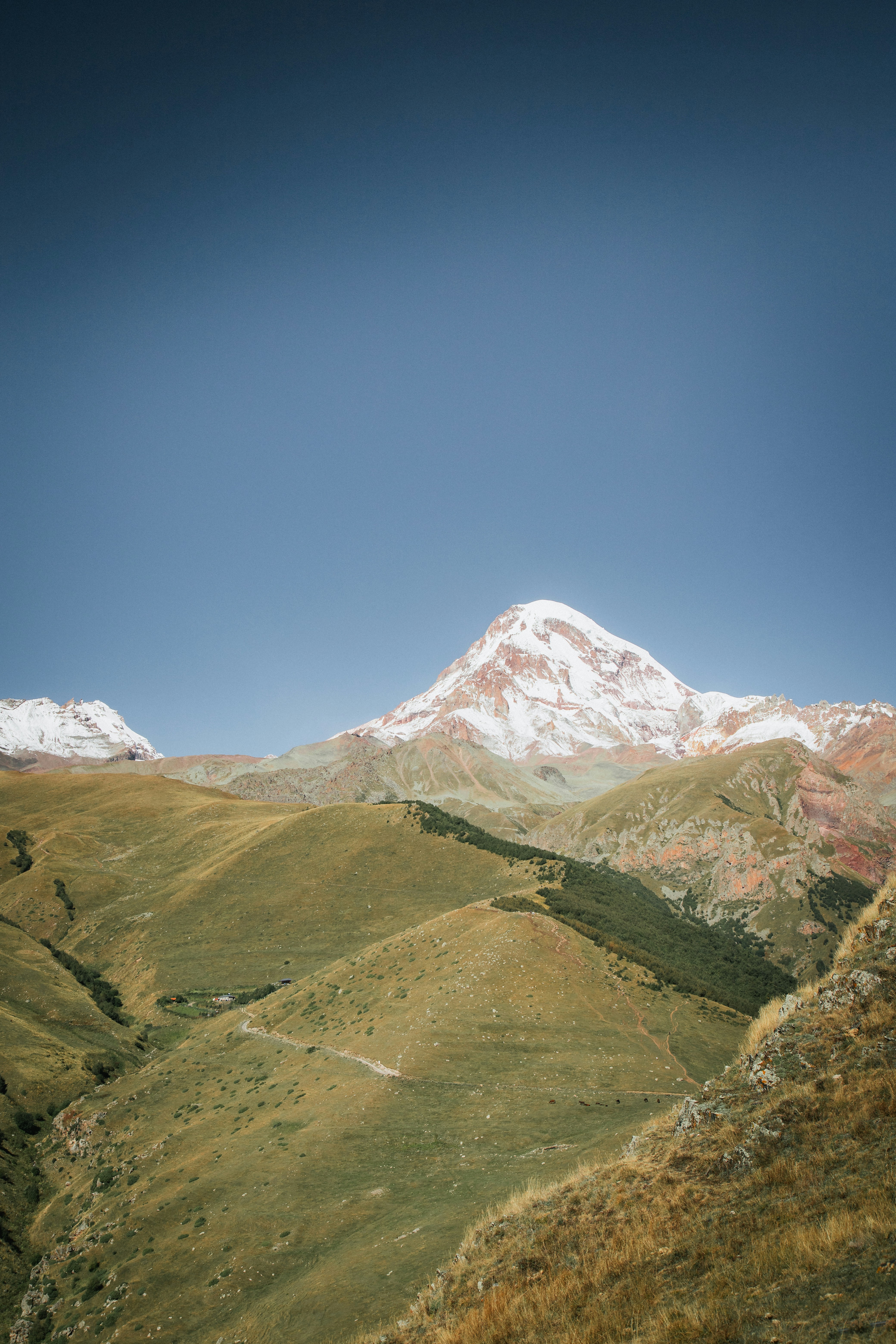 Photo by nikita_pishchugin