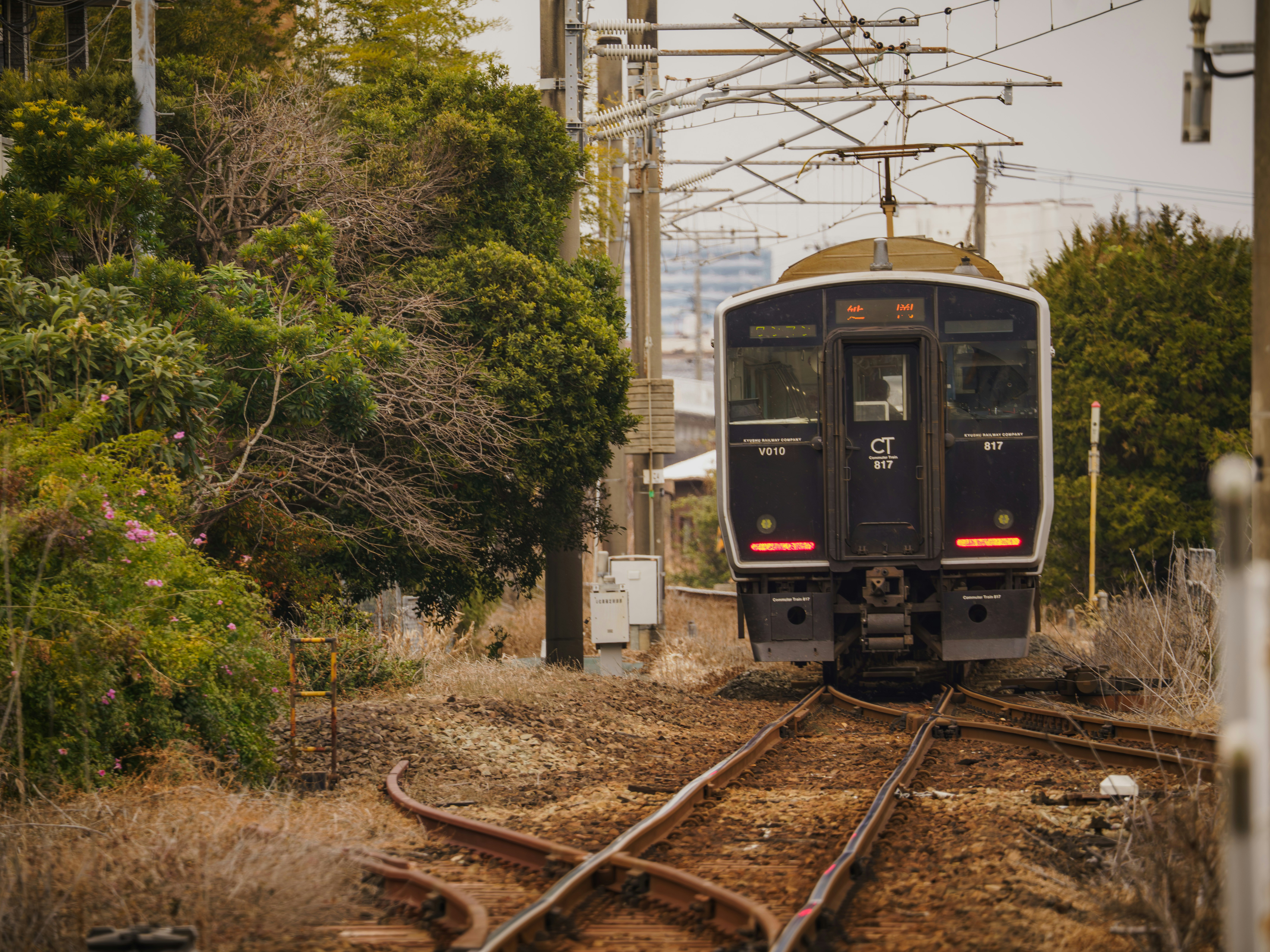 Photo by carolgauthier