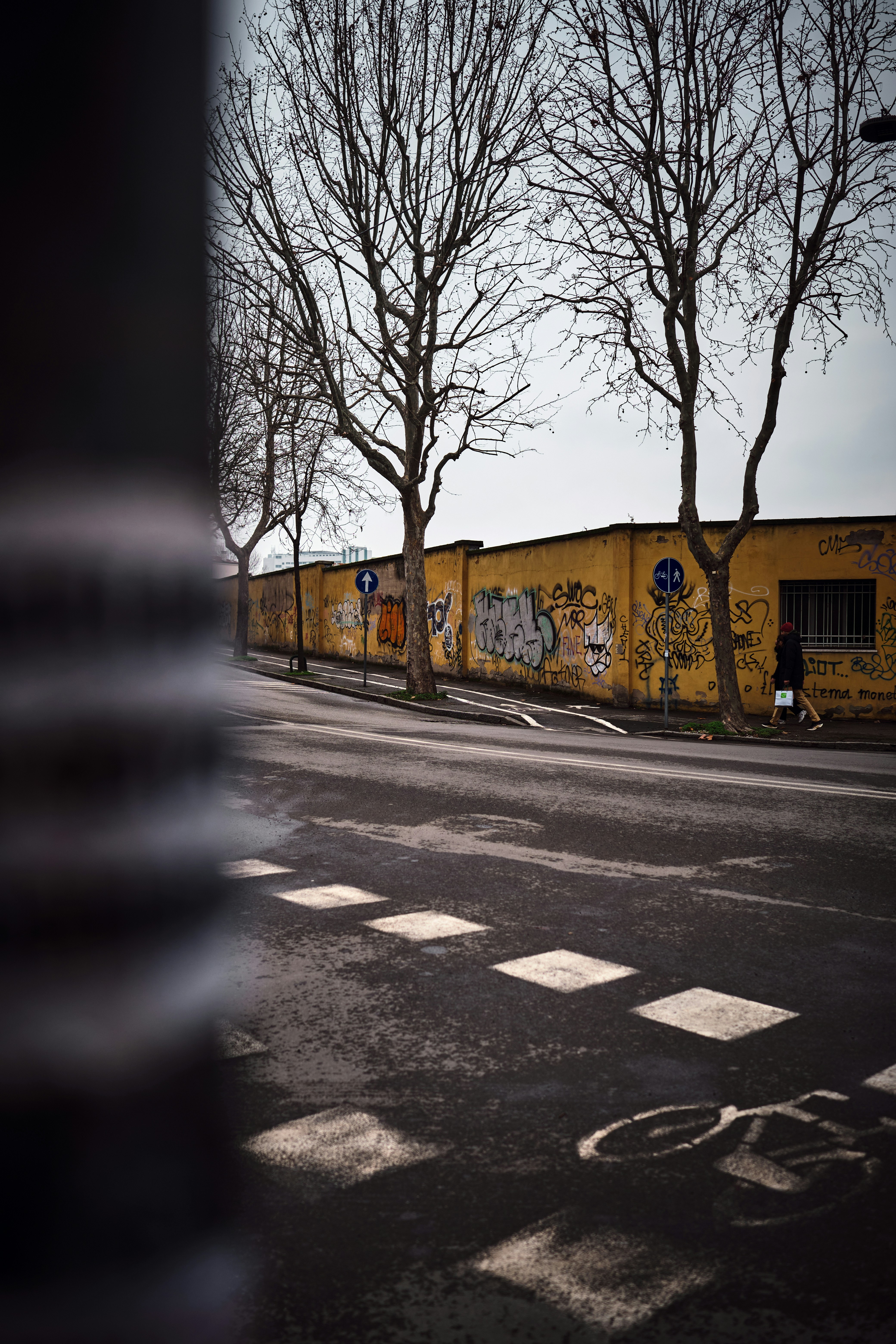 Bare trees line a graffiti-covered wall beside a street.